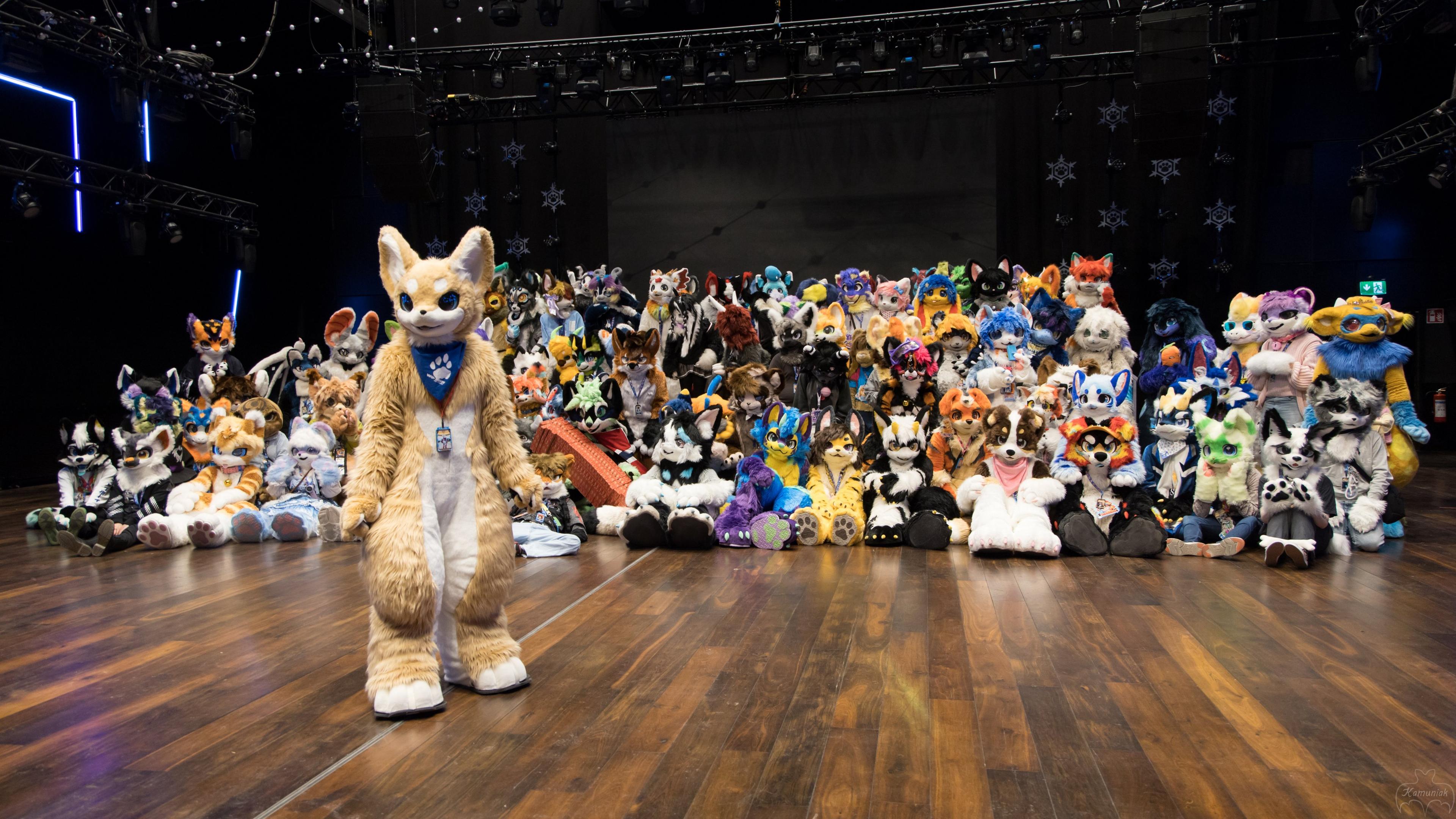 Photograph of huge group of kemono fursuiters. One of them is standing in front of the group.