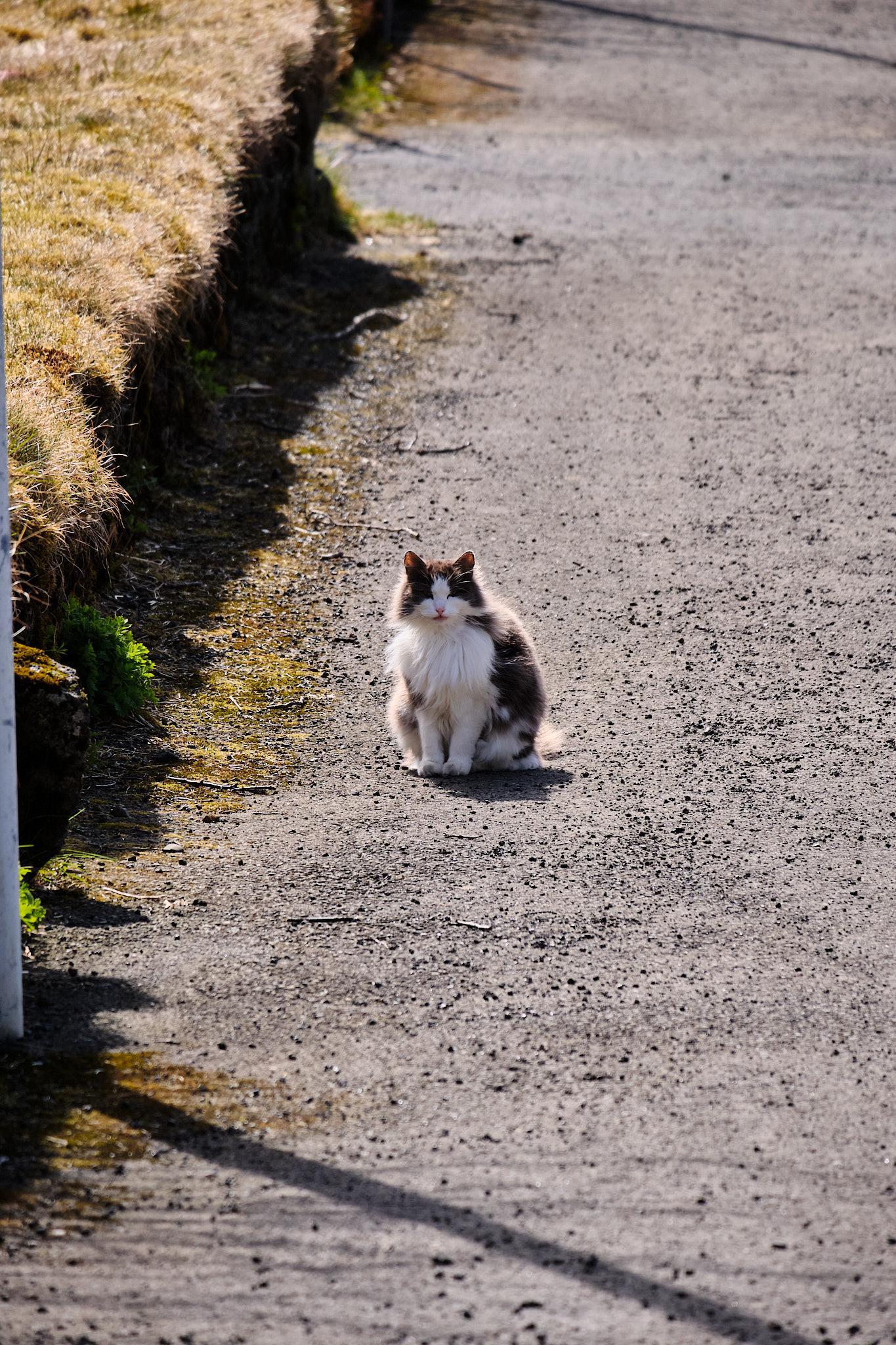Now she is looking ahead.