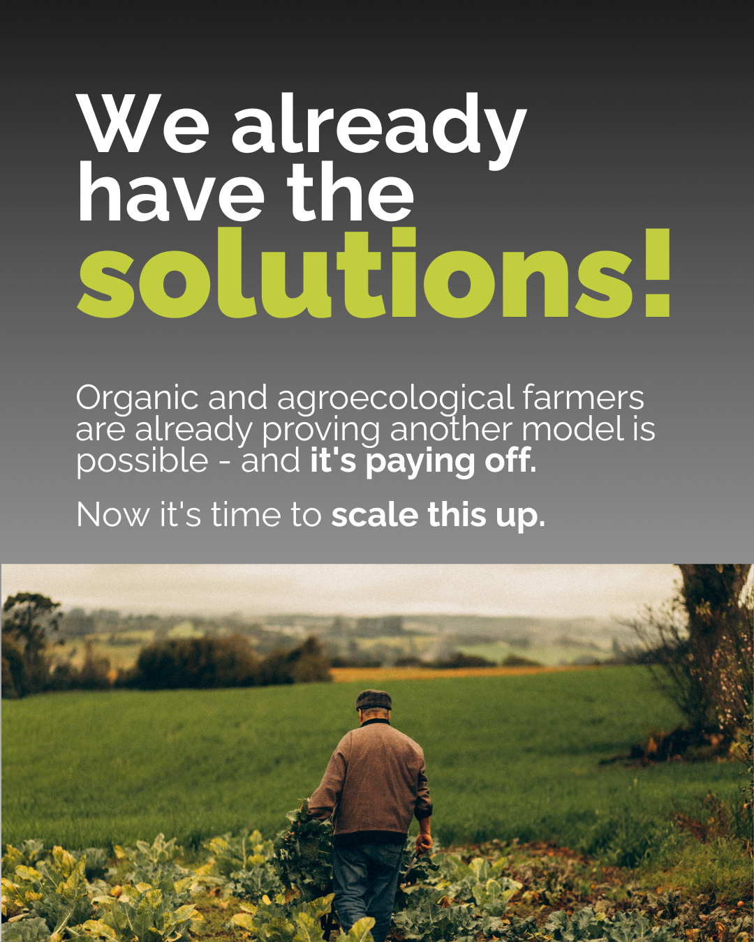 👊 Europes fertiliser crisis is a fossil fuel crisis. Its time to break free from this downward spiral ... And the good news is that we can! 
There are solutions!
(These are simply not supported with #EU tax payers money, the way Big Meat and Dairy Productions Hubs are...

See: shorturl.at/80QTQ