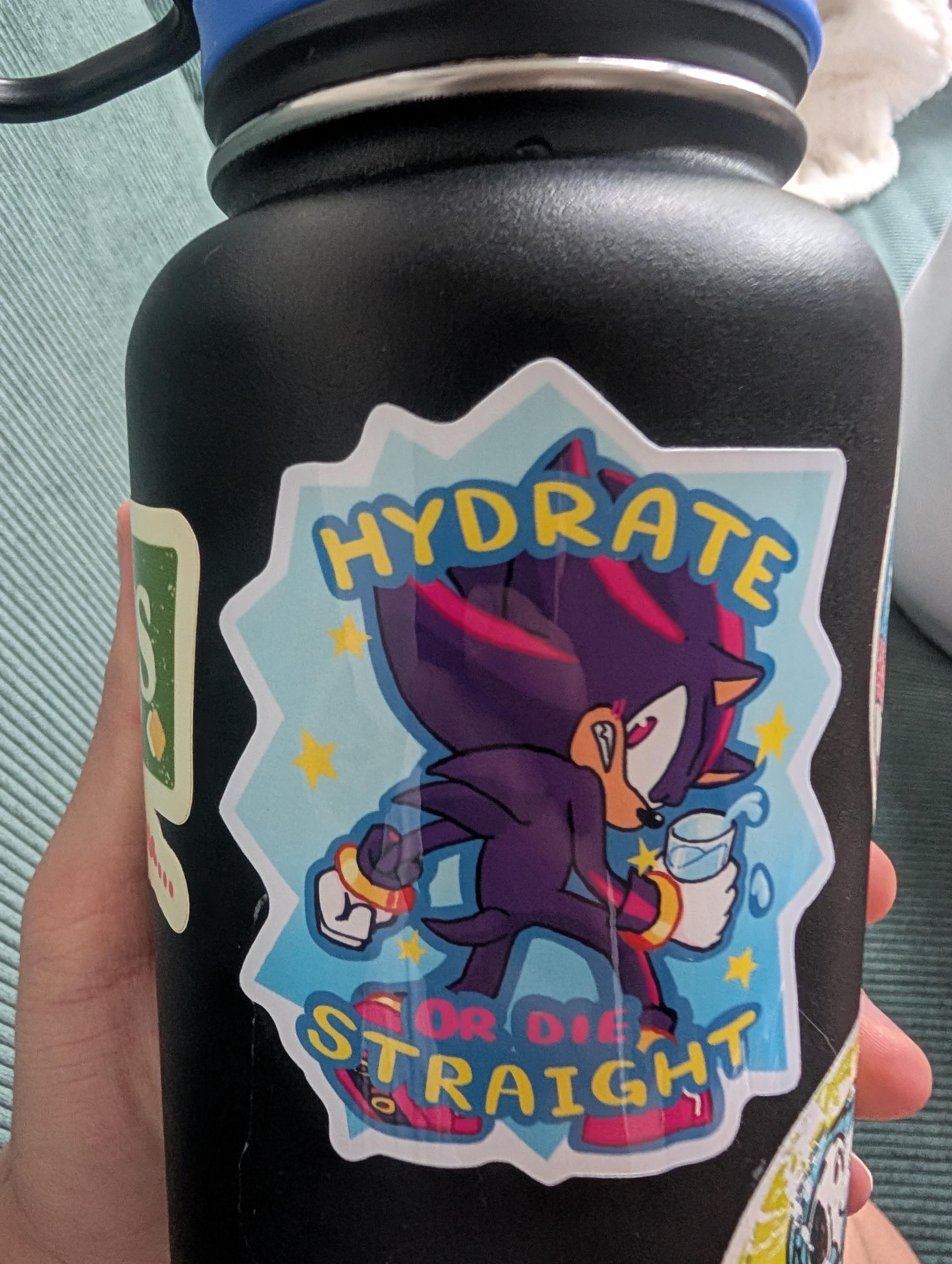 Hydrate or Die Straight sticker on a water bottle with Shadow the hedgehog