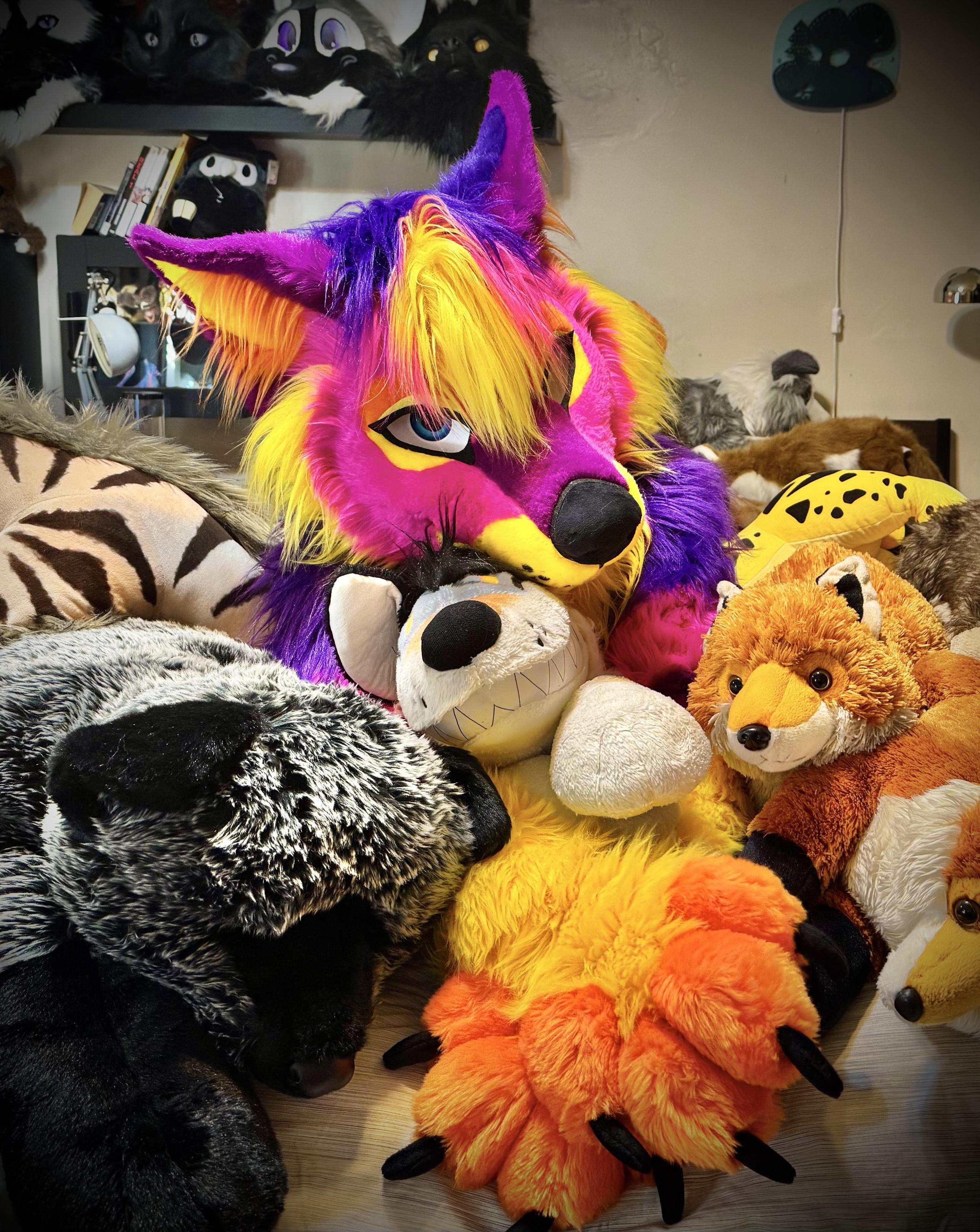 Cereus Coyote snuggles with many plushies on his bed and looks at the viewer