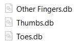 Three files in WIndows Explorer: Other Fingers.db, Thumbs.db and Toes.db