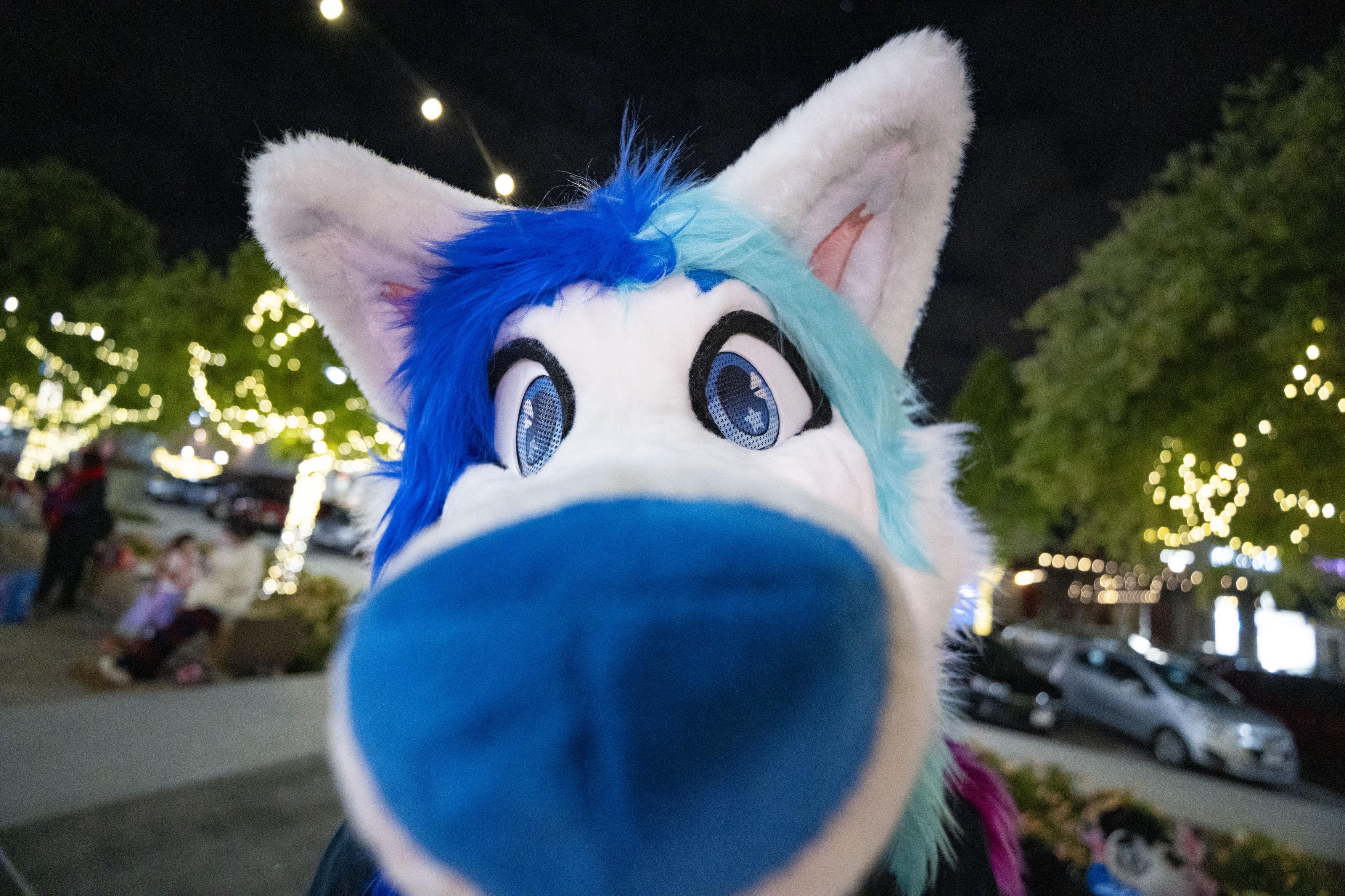 A fisheye view of Replica's big arctic fox fursuit nose.