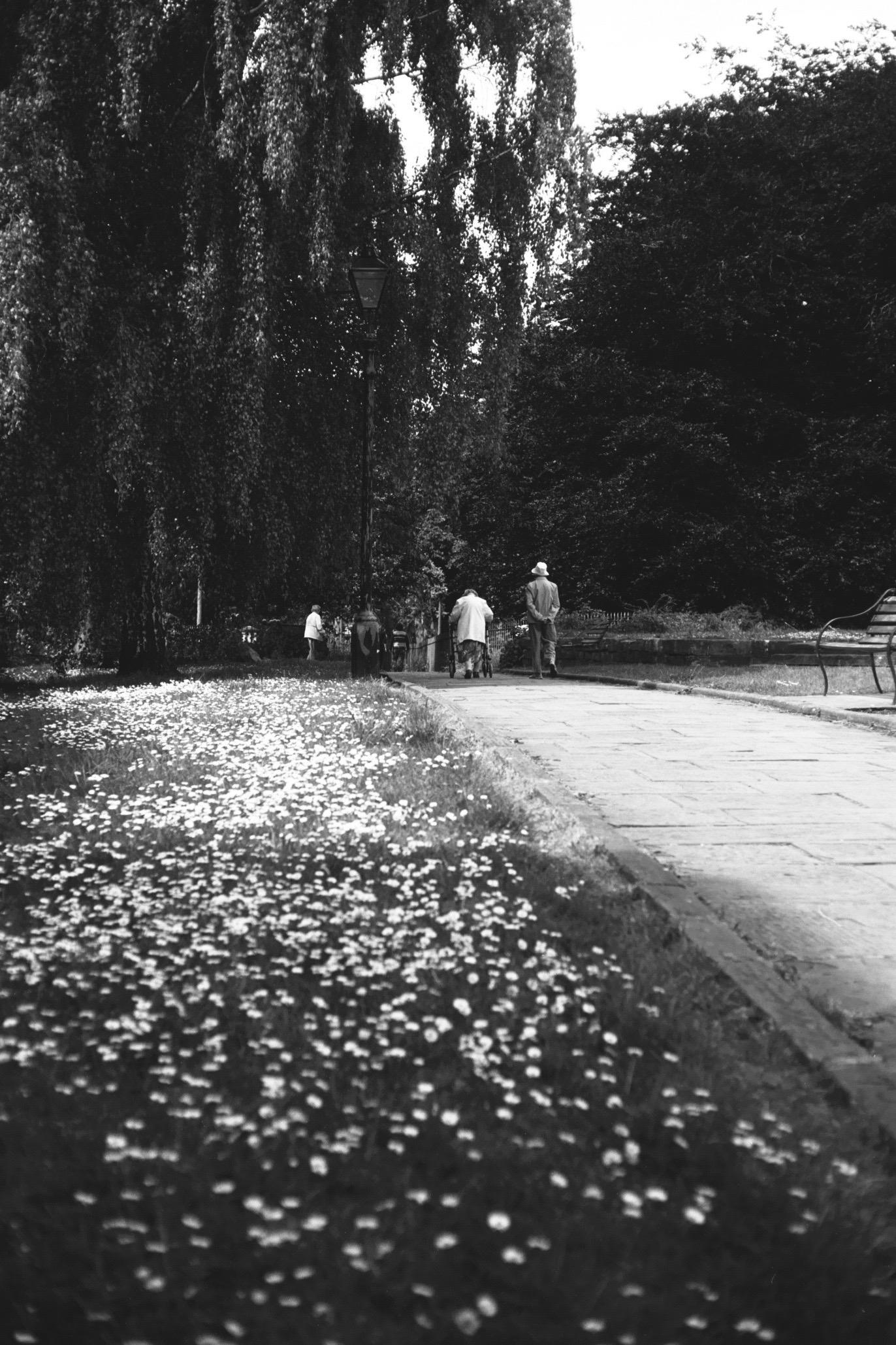A group of people walk through a cemetery in Clifton, Bristol.