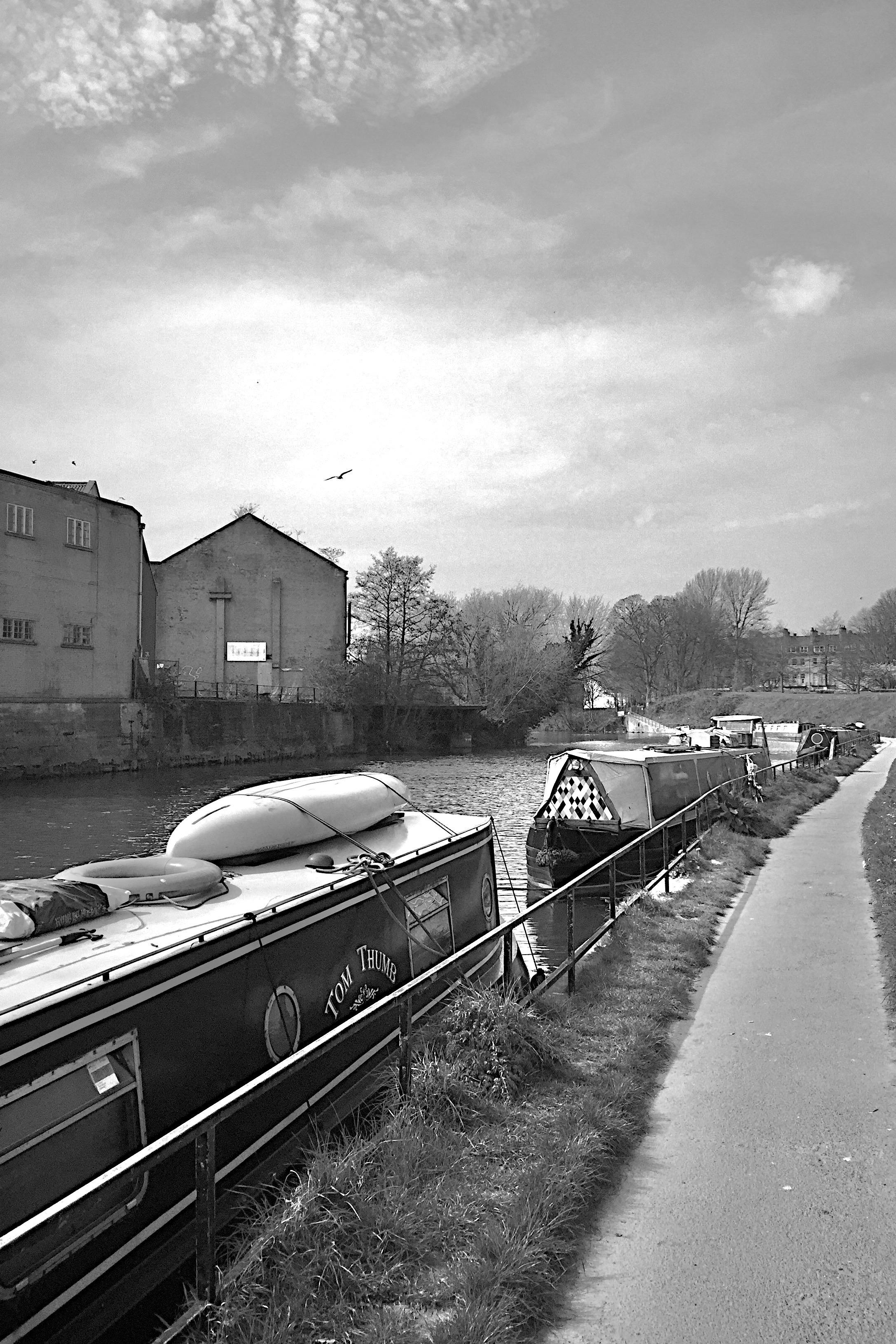 Canal boats in the river Avon in Bath.
