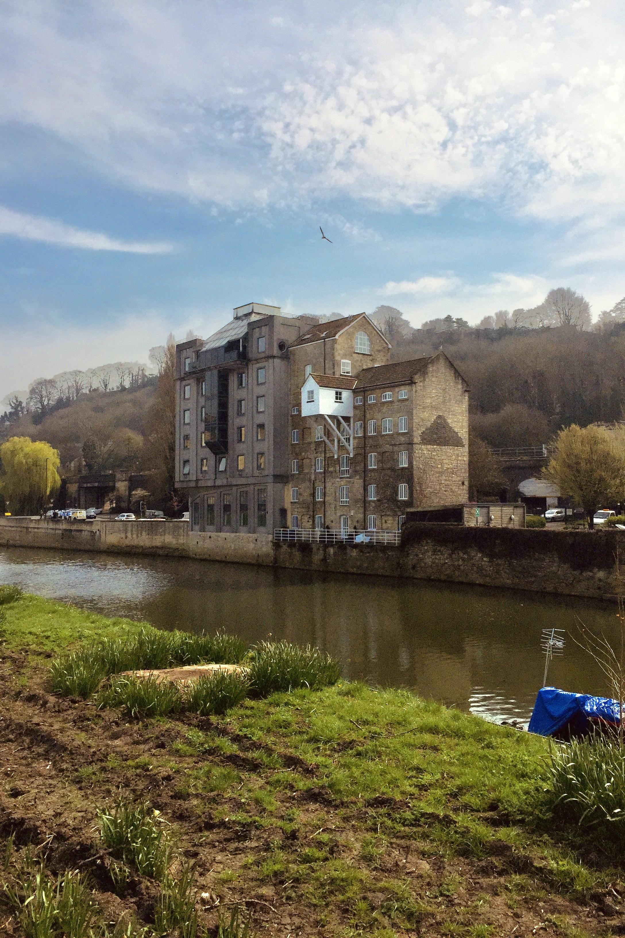 A bird flies over buildings by the river Avon in Bath.