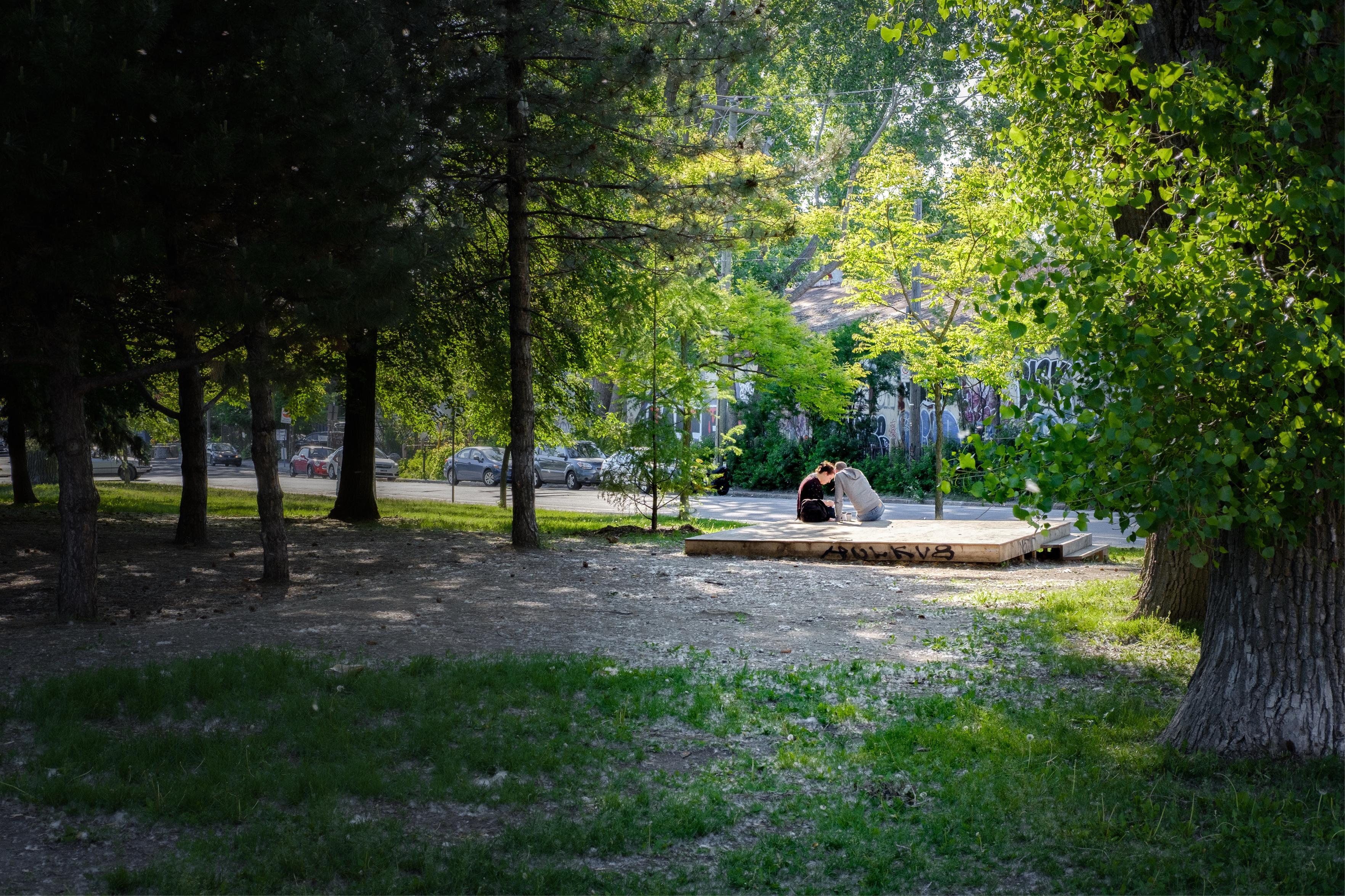 A couple confers over something in the sun in a Montréal park.