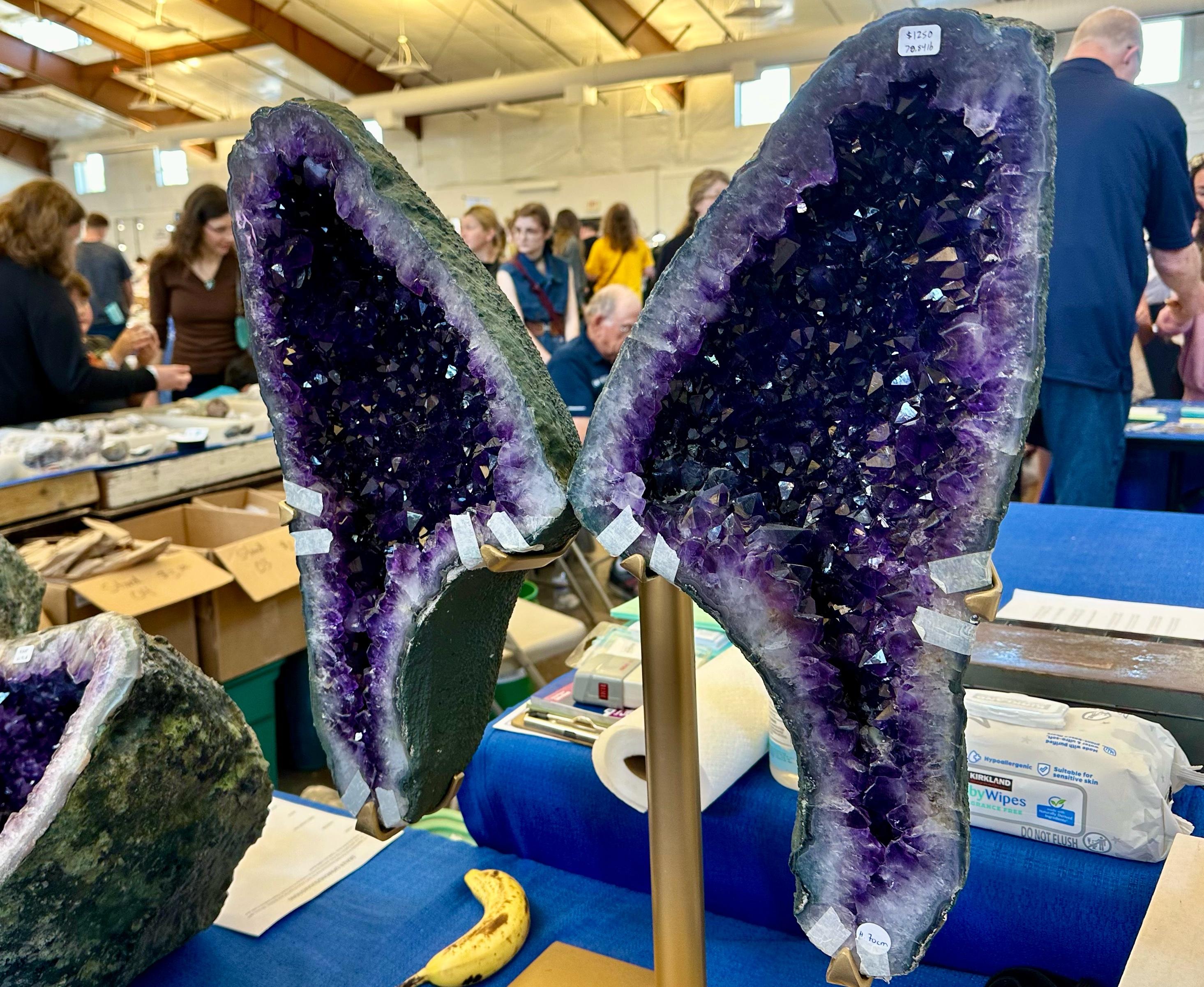 Photograph of a giant purple geode split in half revealing crystals. The pair is curiously in the shape of a cat ear headband.