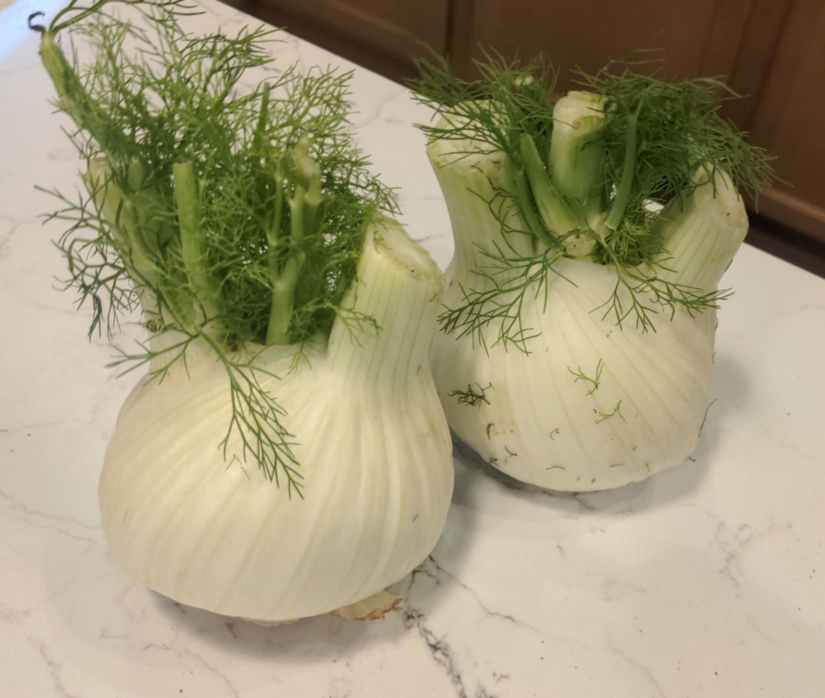 two bulbs of fennel