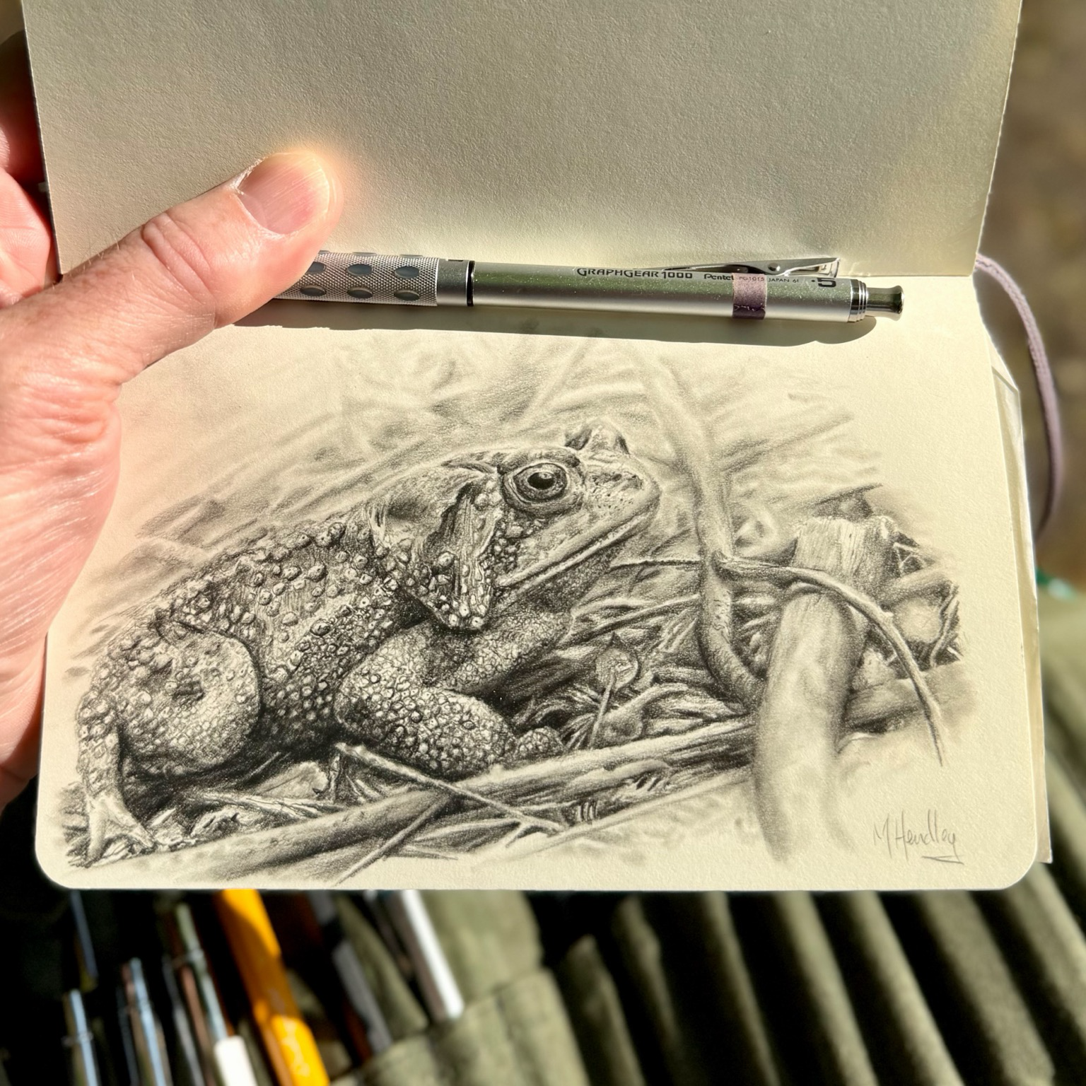 Detailed graphite drawing of an American toad resting among grass, twigs, and leaf litter. The toad faces right in profile, its warty skin and large dark eye rendered in fine detail. Soft pencil shading creates a blurred natural background. Drawn in a sketchbook, shown outdoors in sunlight.