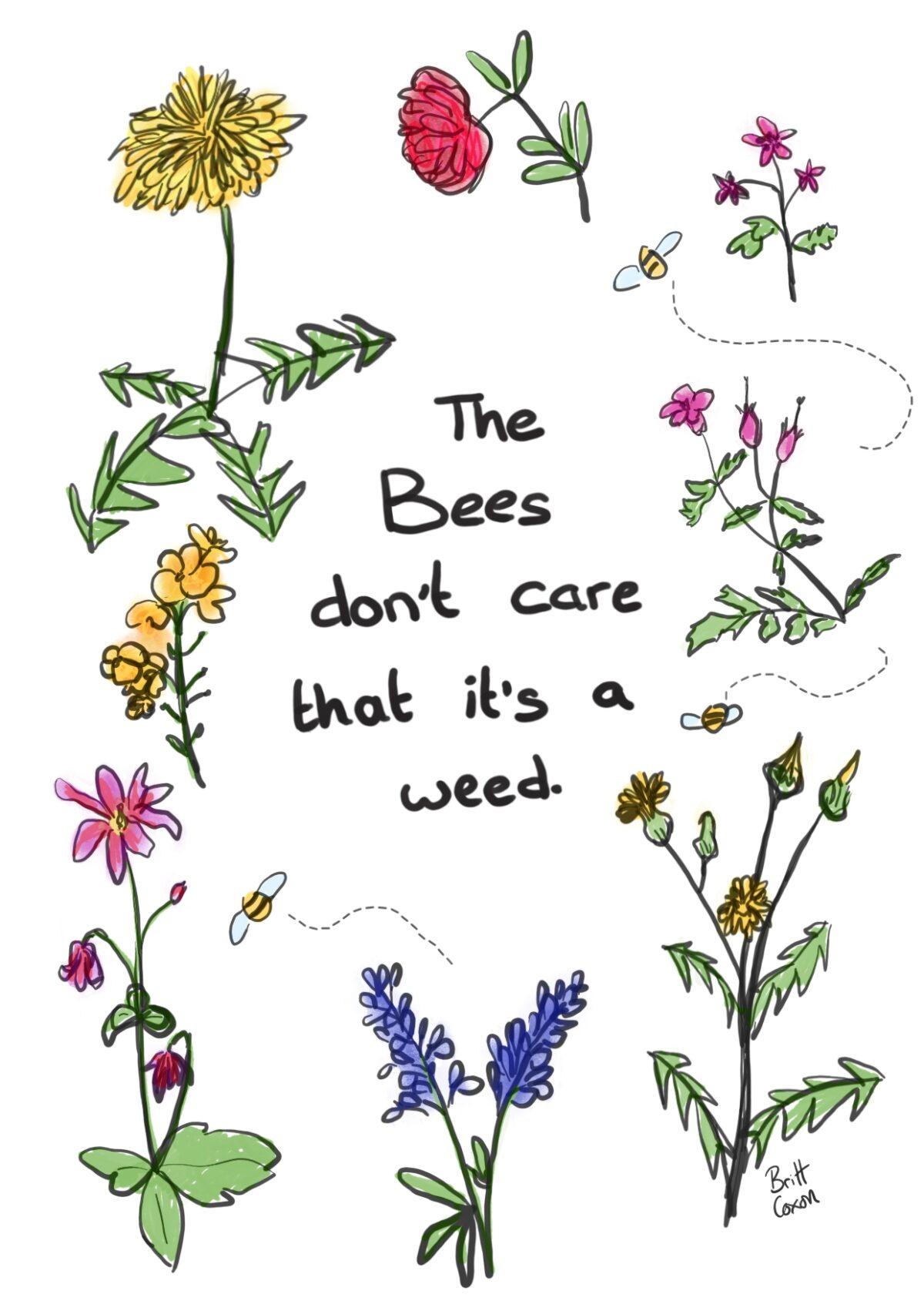 The Bees don't care that it's a weed.