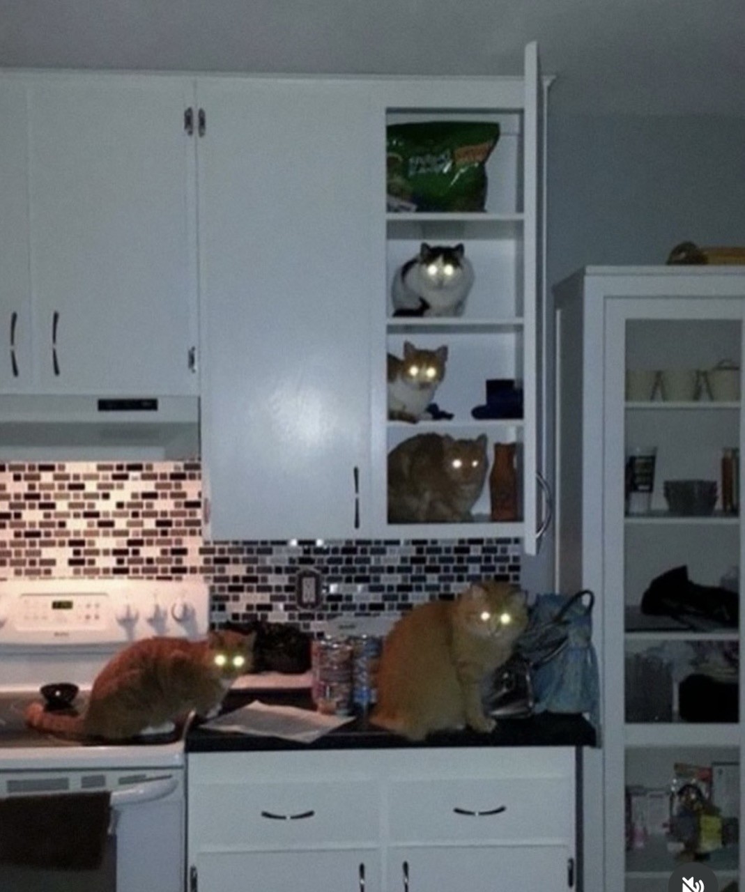 low light photo of a kitchen, probably at nighttime. there is a task light on over the stovetop, and there is a grouping of cats with glowing eyes: two are on the countertop, and three are in an upper cabinet, one each on three separate shelves. all are looking toward the camera with a light source behind the photographer. the cats look as if they were having a secret satanic meeting that their owner walked in on