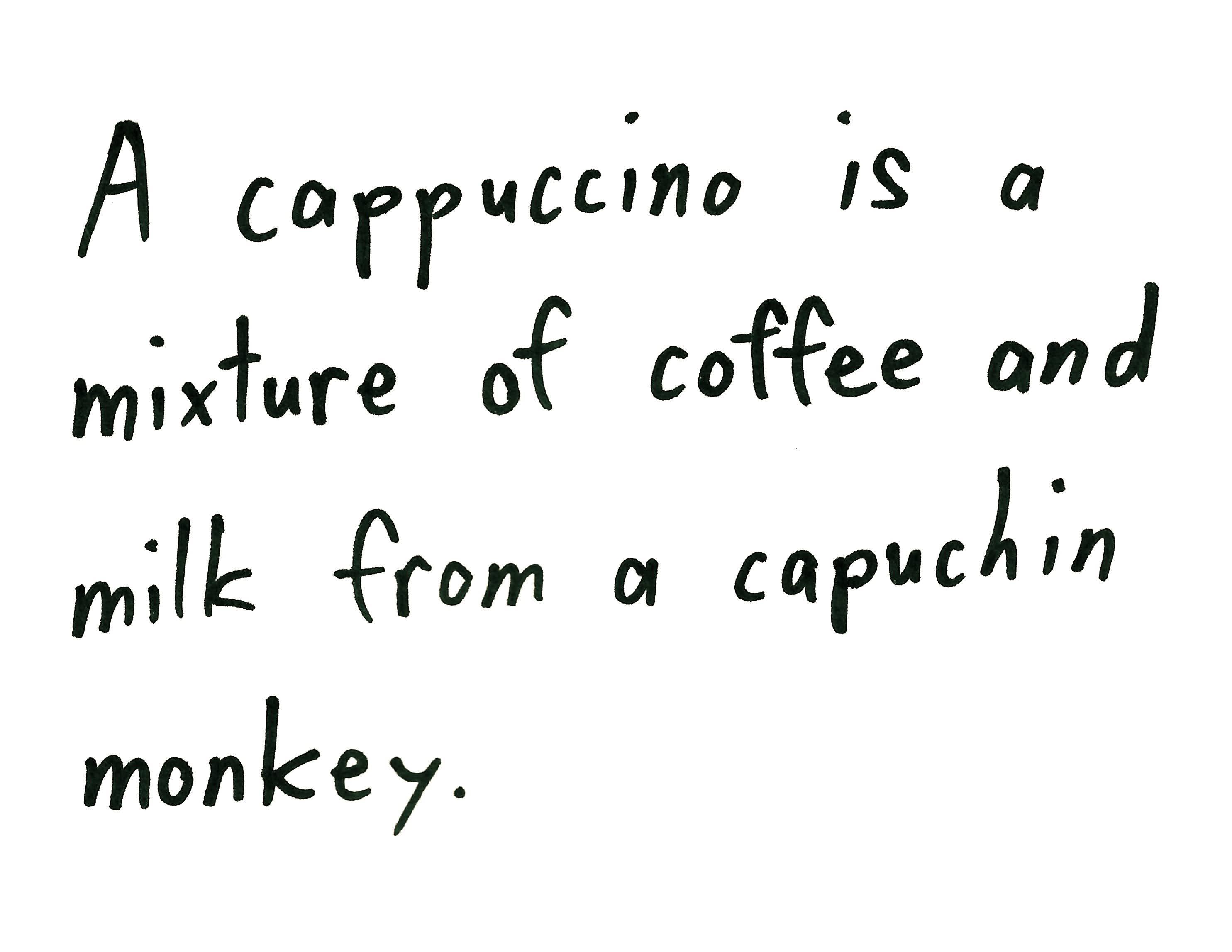 A cappuccino is a mixture of coffee and milk from a capuchin monkey.