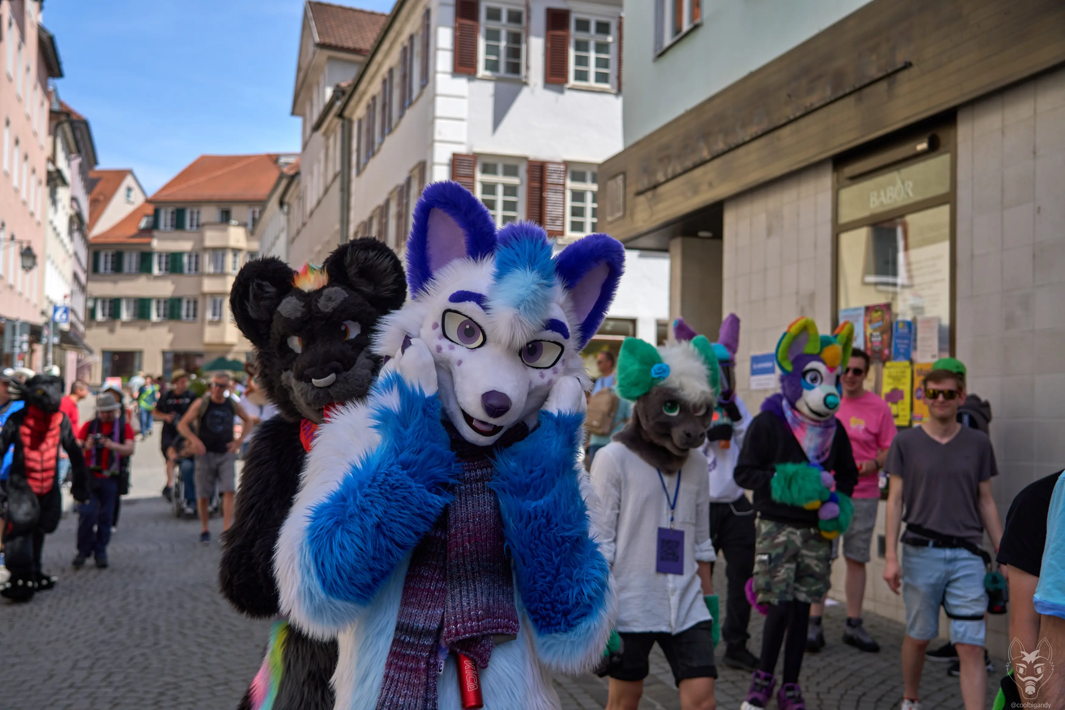 Photo of Polarie, a white-blue arctic fox fursuiter holding his hand paws to his muzzle in surprise, while Kianga, a black jaguar fursuiter is peeking over his shoulder from behind. More people are in the background, walking through a cobblestone street.