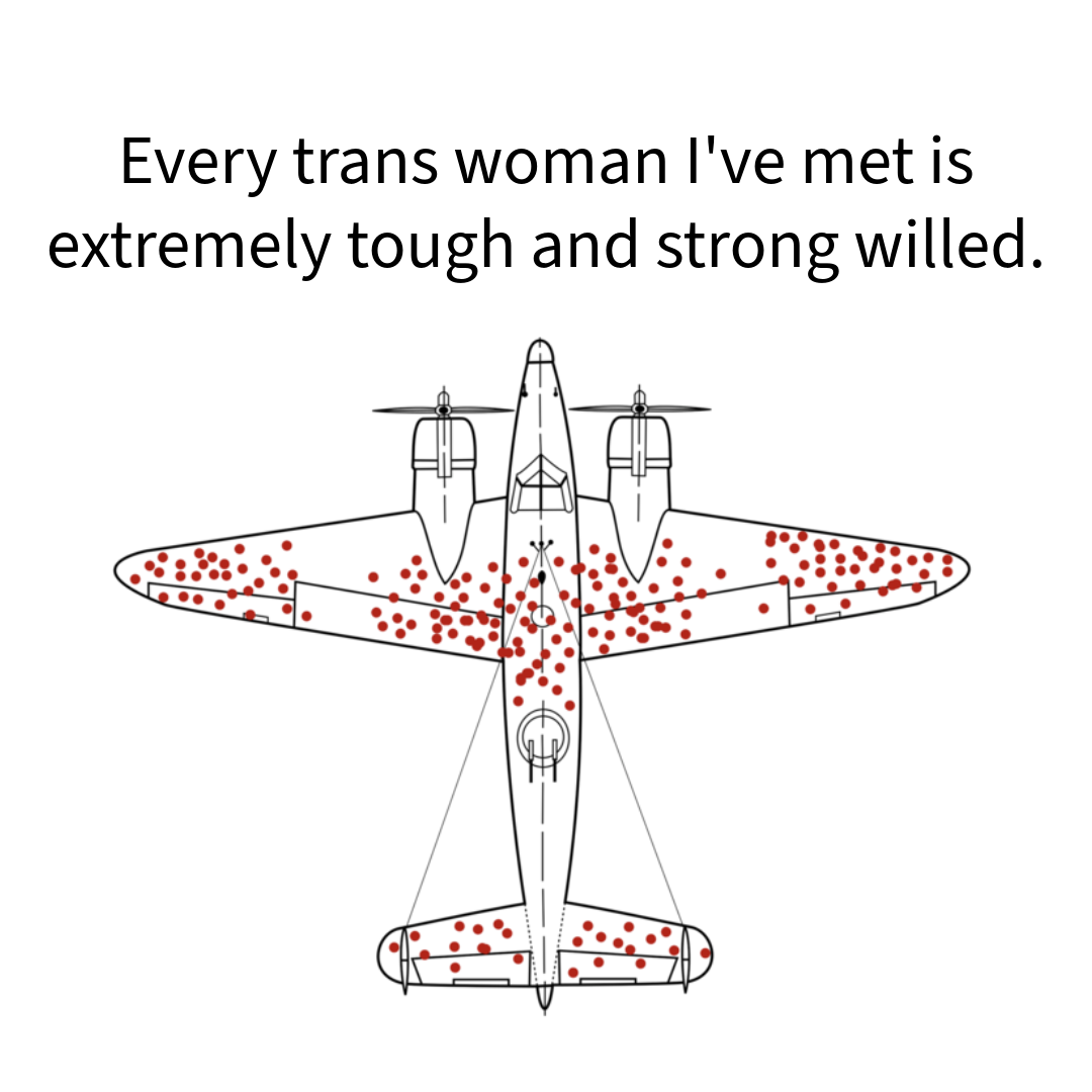 every trans woman i've met is extremely tough and strong willed and it's the survivorship bias plane with the holes