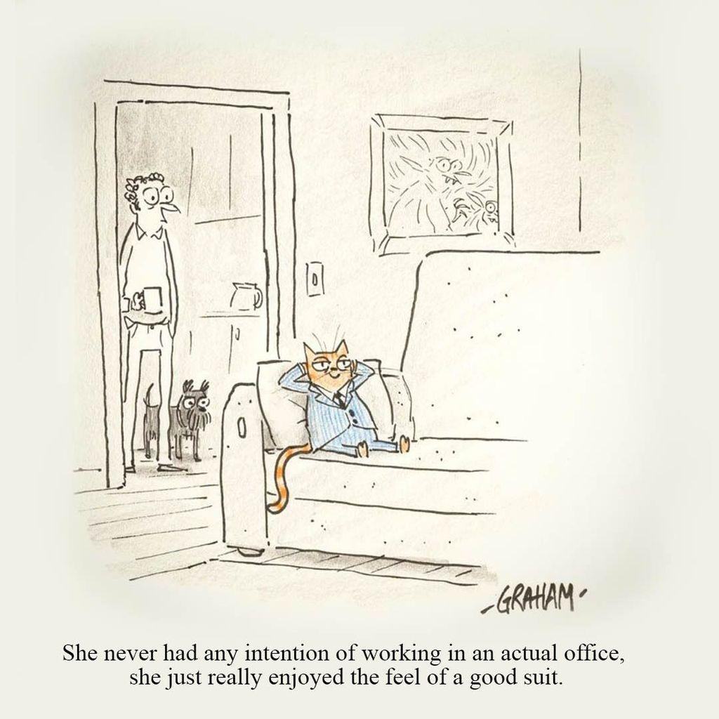 A cartoon illustration of a cat wearing a suit relaxing on a couch while the owner and dog watch her from the kitchen. Caption reads "She never had any intention of working in an actual office, she just really enjoyed the feel of a good suit."