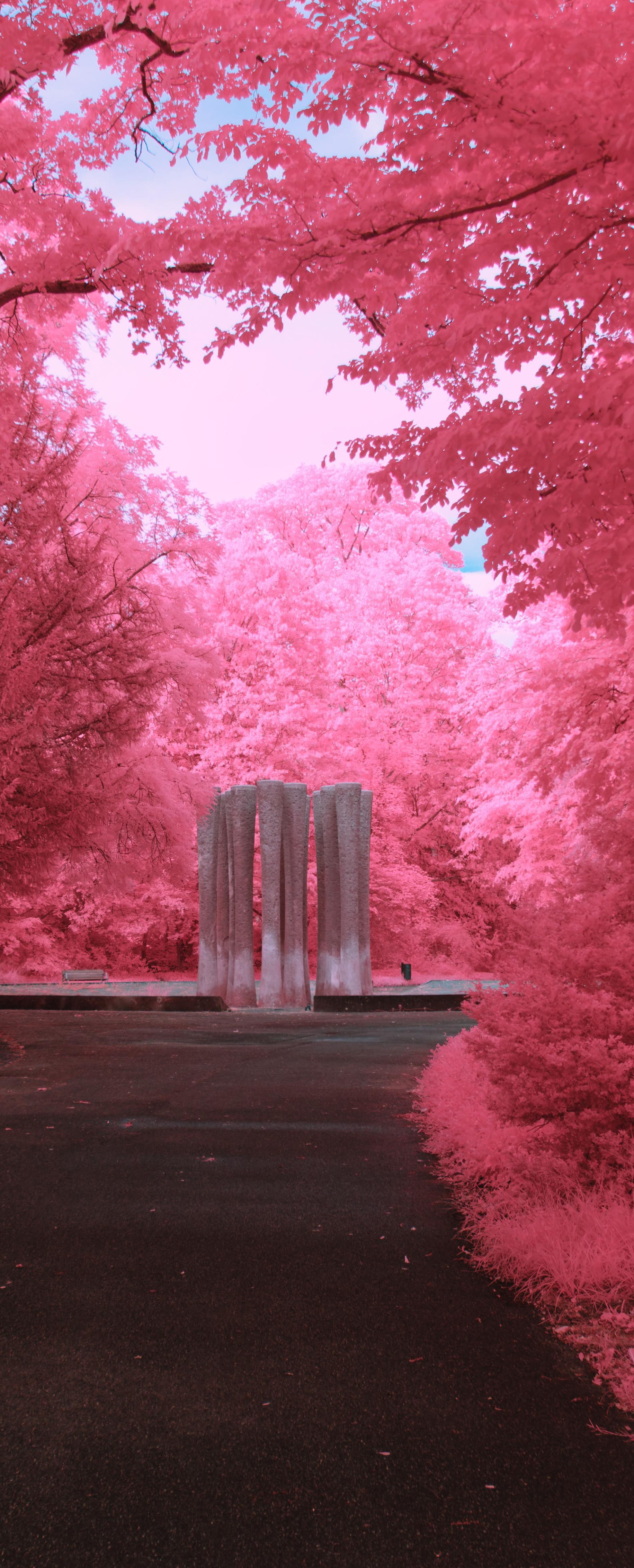 A portrait shot down a tree lined water feature. It is almost is fully covered in trees, just a sliver of sky is visible. The water feature is a bunch of large columns. The way there is dark. The image overall is very pink