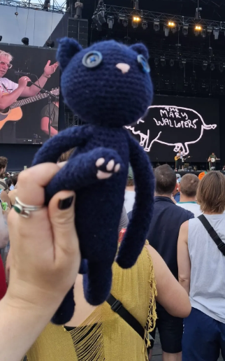 A blue knit cat with cute pink toe beans held up in front of a stage.