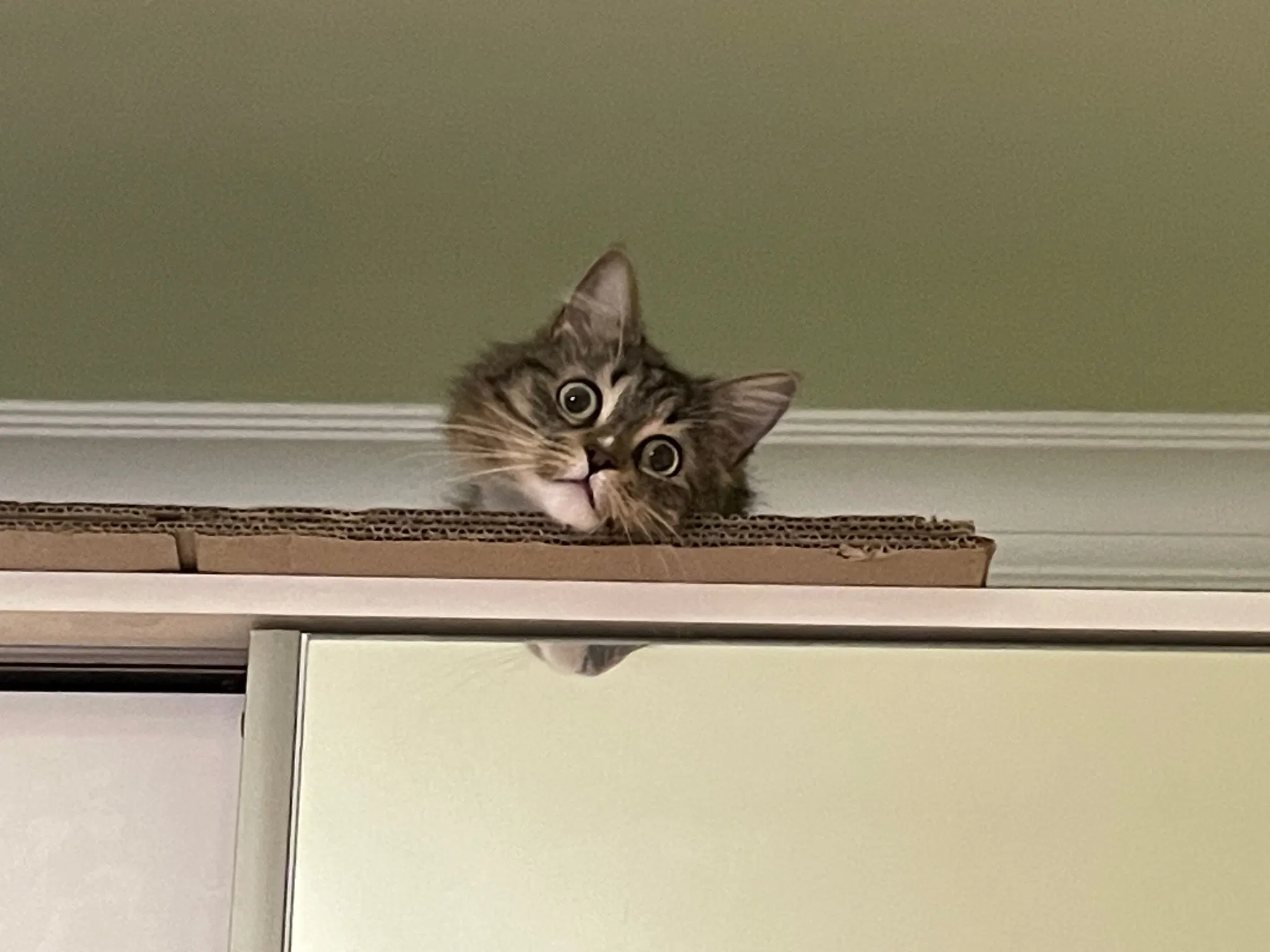 Now she's looking more at the camera, still with an extrememely blank expression