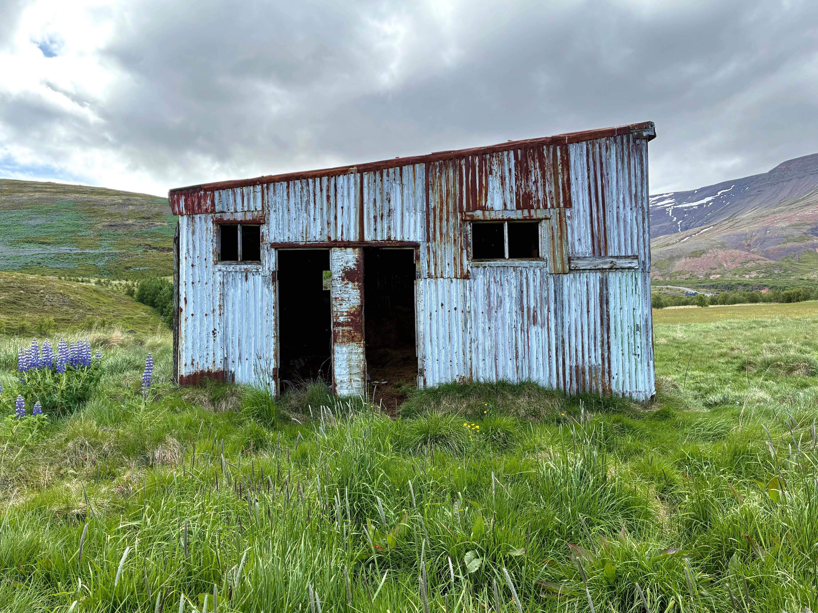 A shed with a two windows, two doors and a tilted roof.