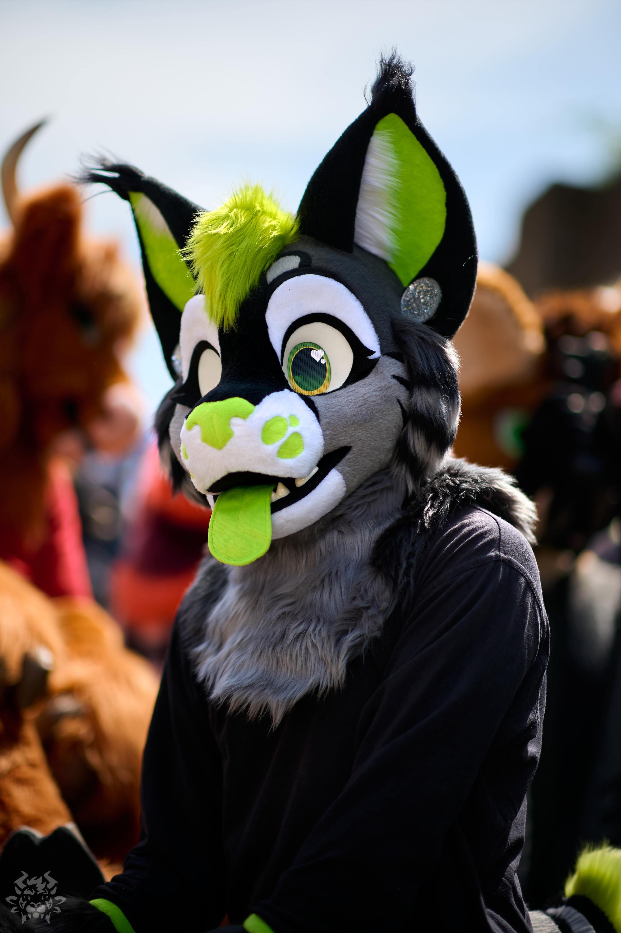 A photo of a green-accented lynx fursuiter at the Tübingen fursuit walk from last May. (I unfortunately don't know who this is)