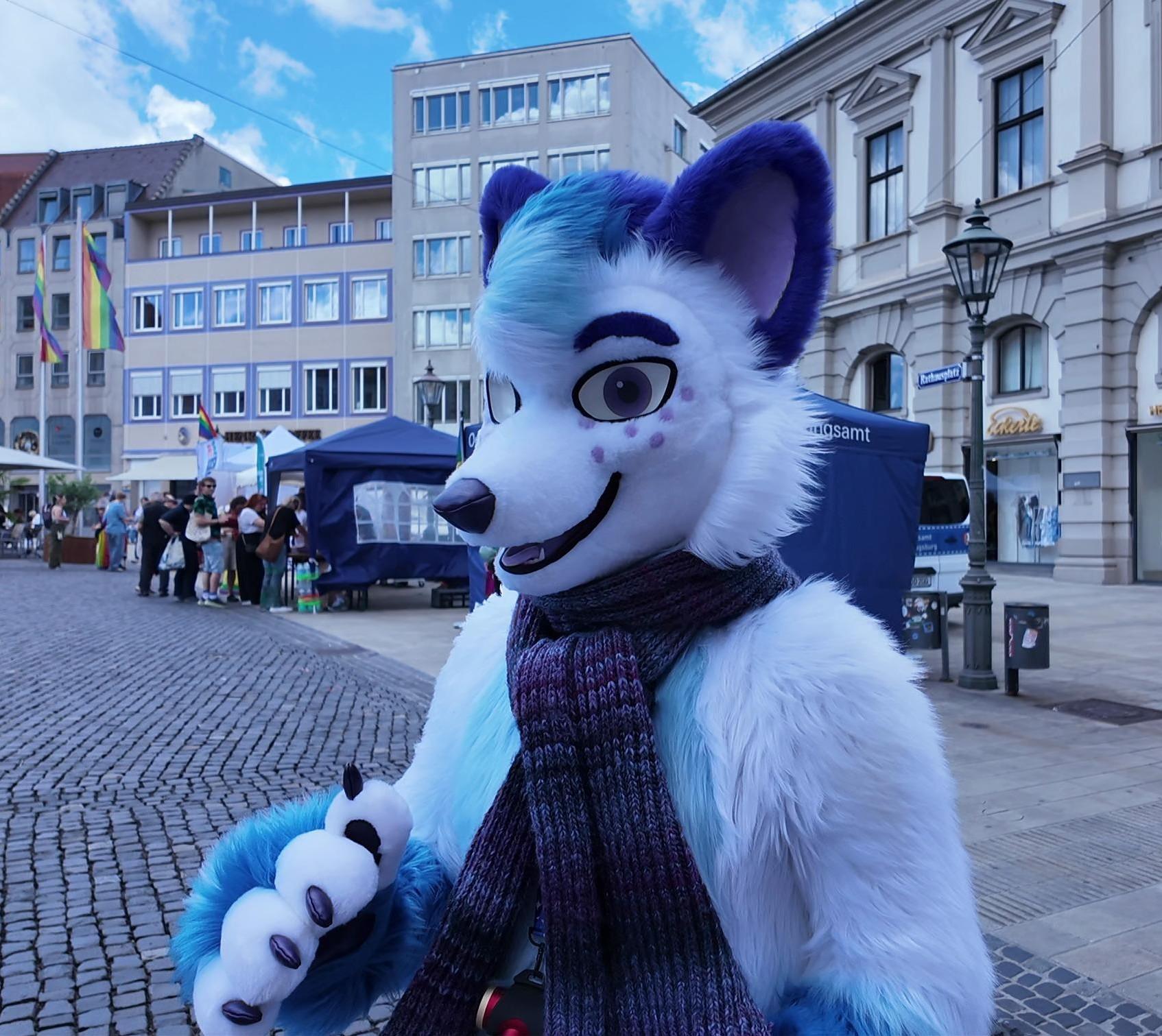 I'm wearing my fursuit (a blue, white and purple arctic fox) and a scarf. You can see the wind blowing my fur in one direction.