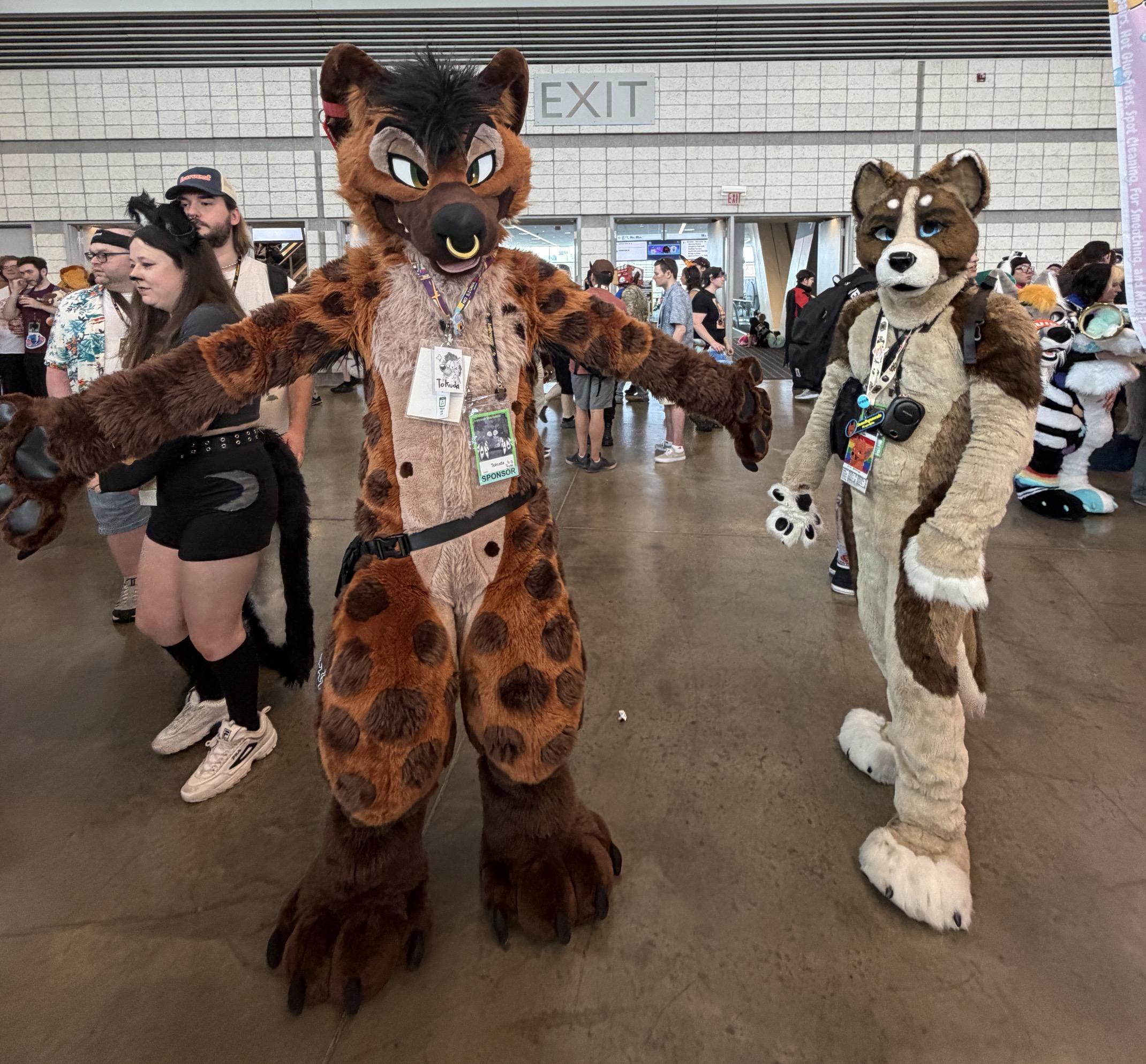 Tokuda in his spotted hyena fursuit at the dealers den with a friend.