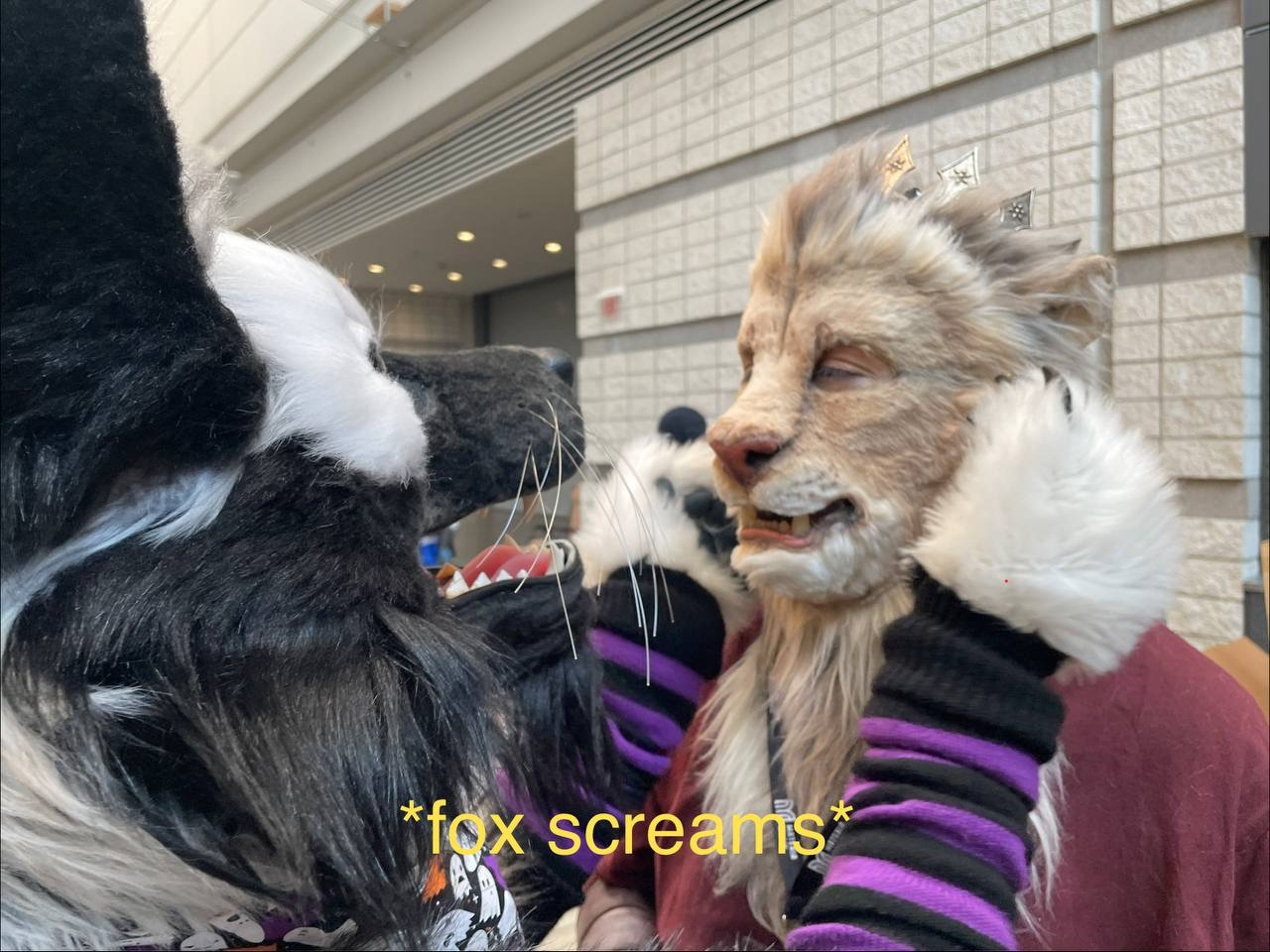 Sebastian screams at Killian the Lion