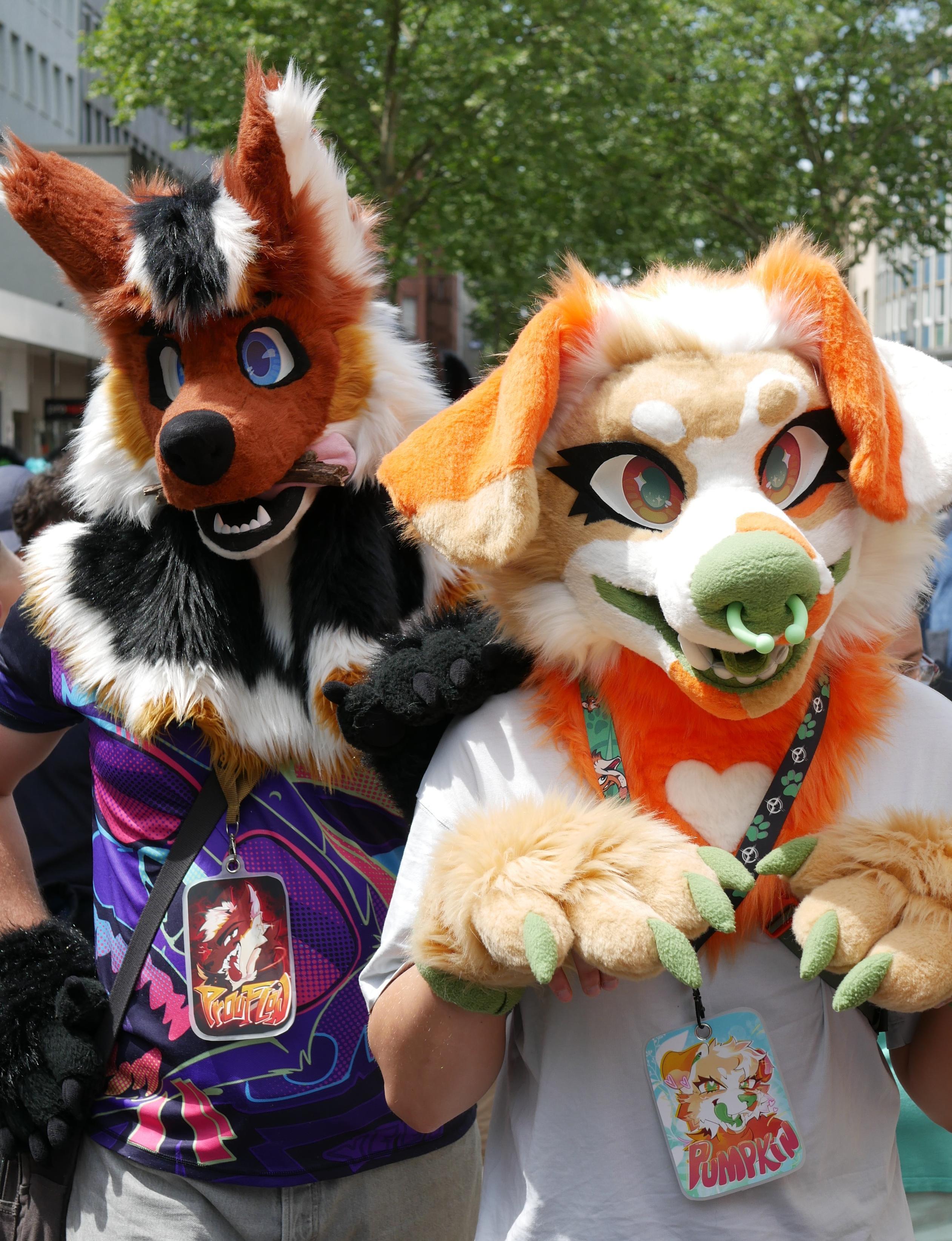 Maned Wolf and Australian Shepherd Fursuiters