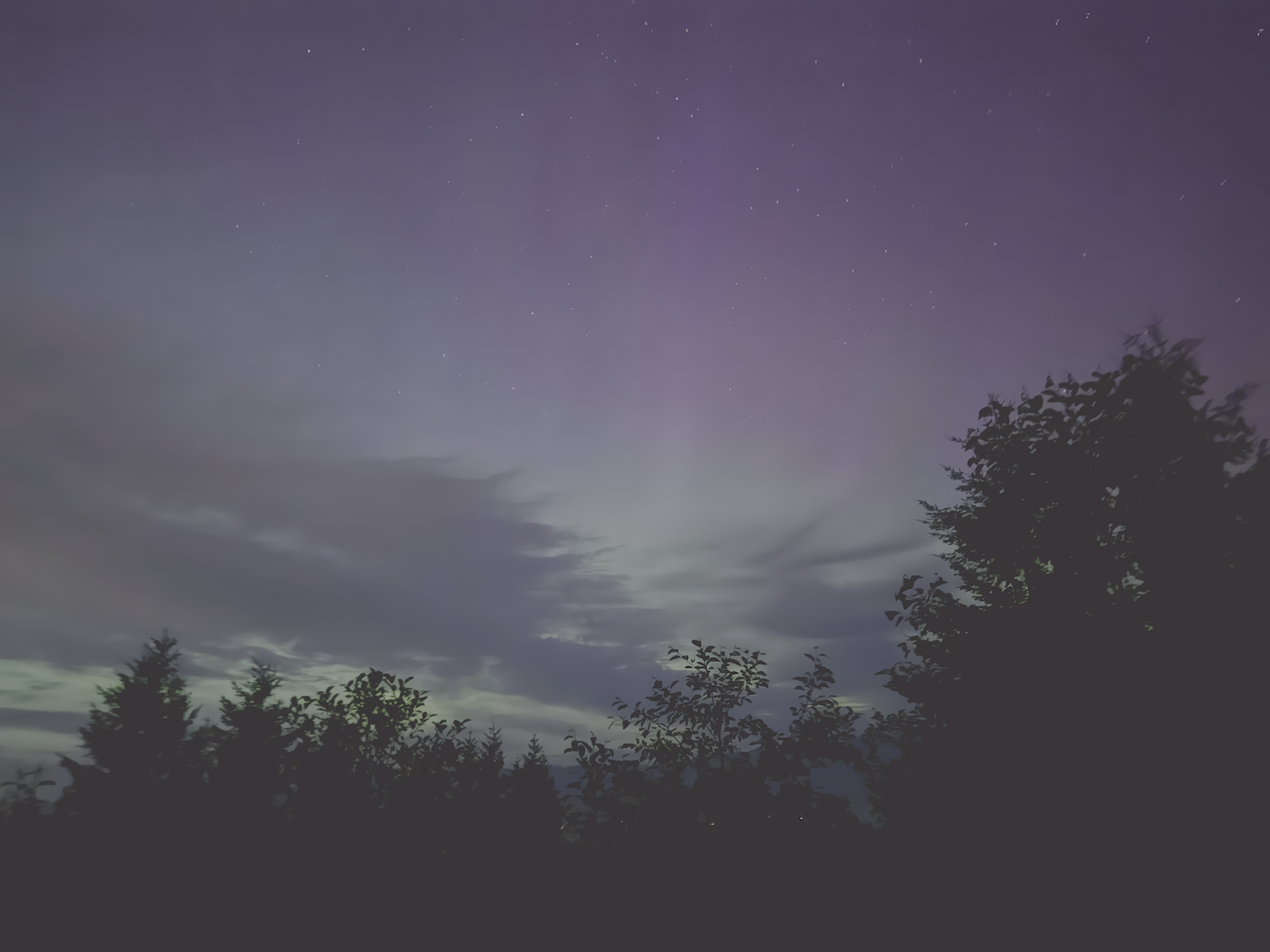 Aurora in greeenish yellow with a hint of pink above trees