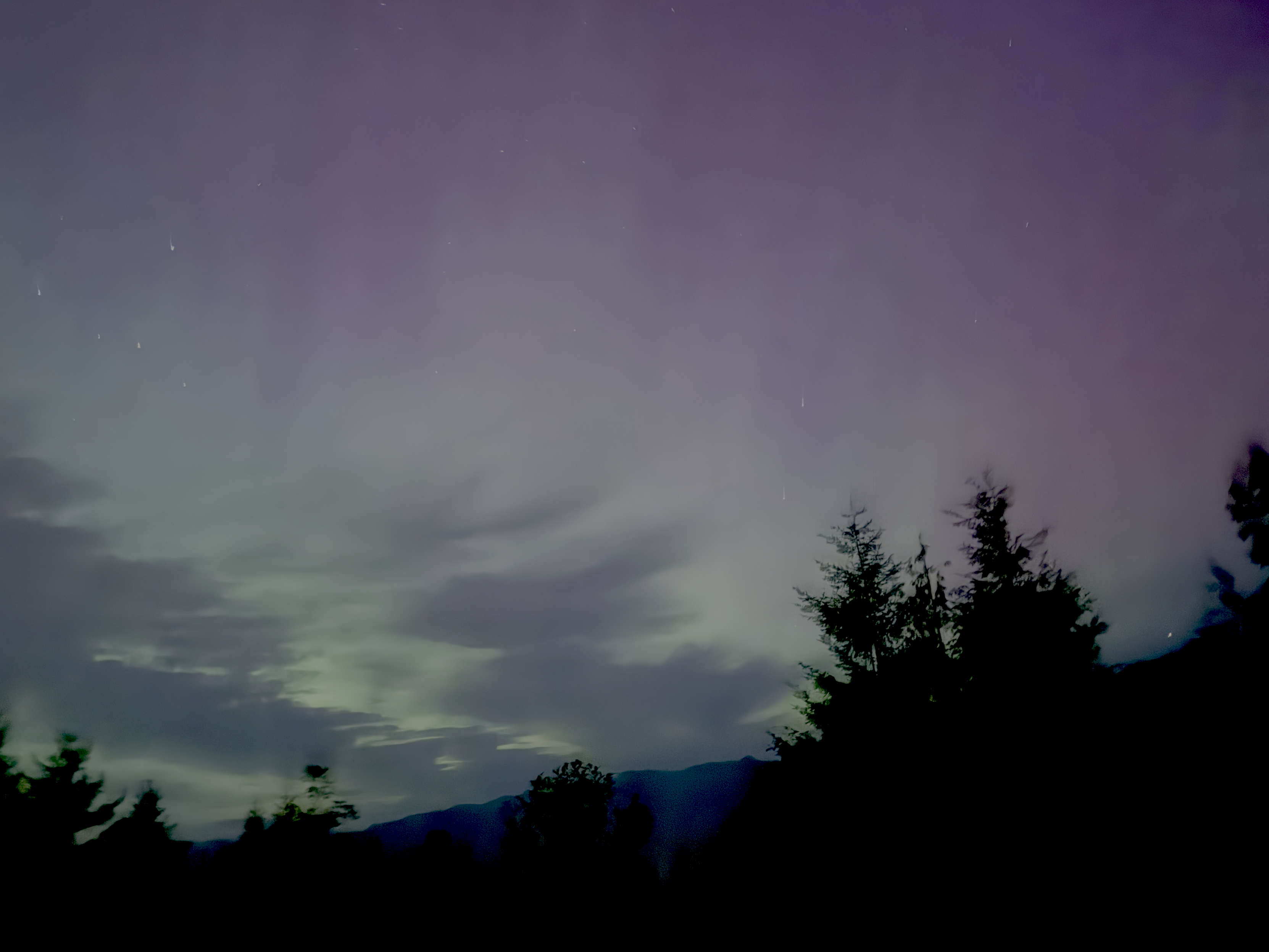 a landscape view of aurora above trees