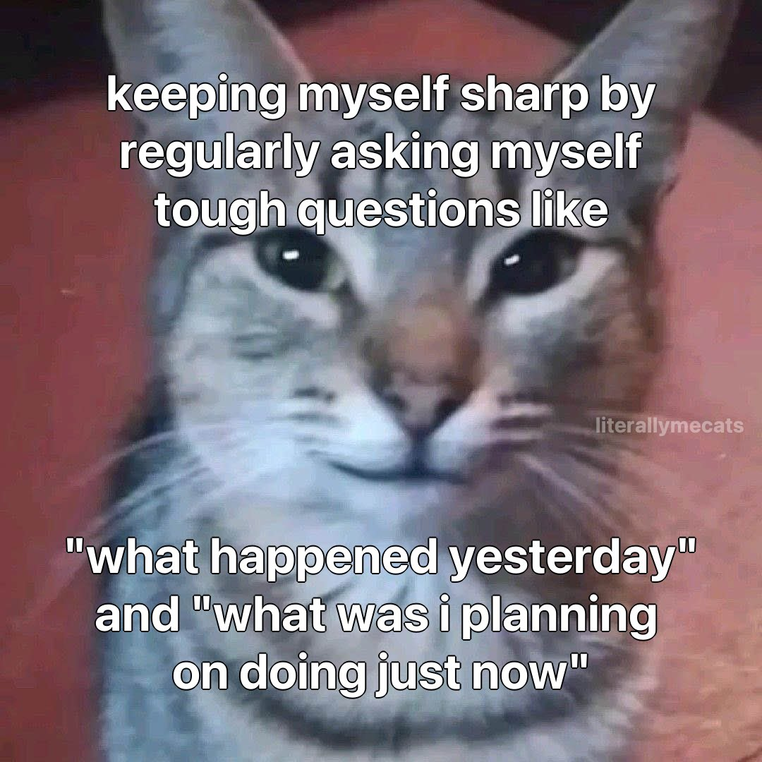 A picture of a smug cat with the caption: keeping myself sharp by regularly asking myself tough questions like "what happened yesterday" and "what was i planning on doing just now"