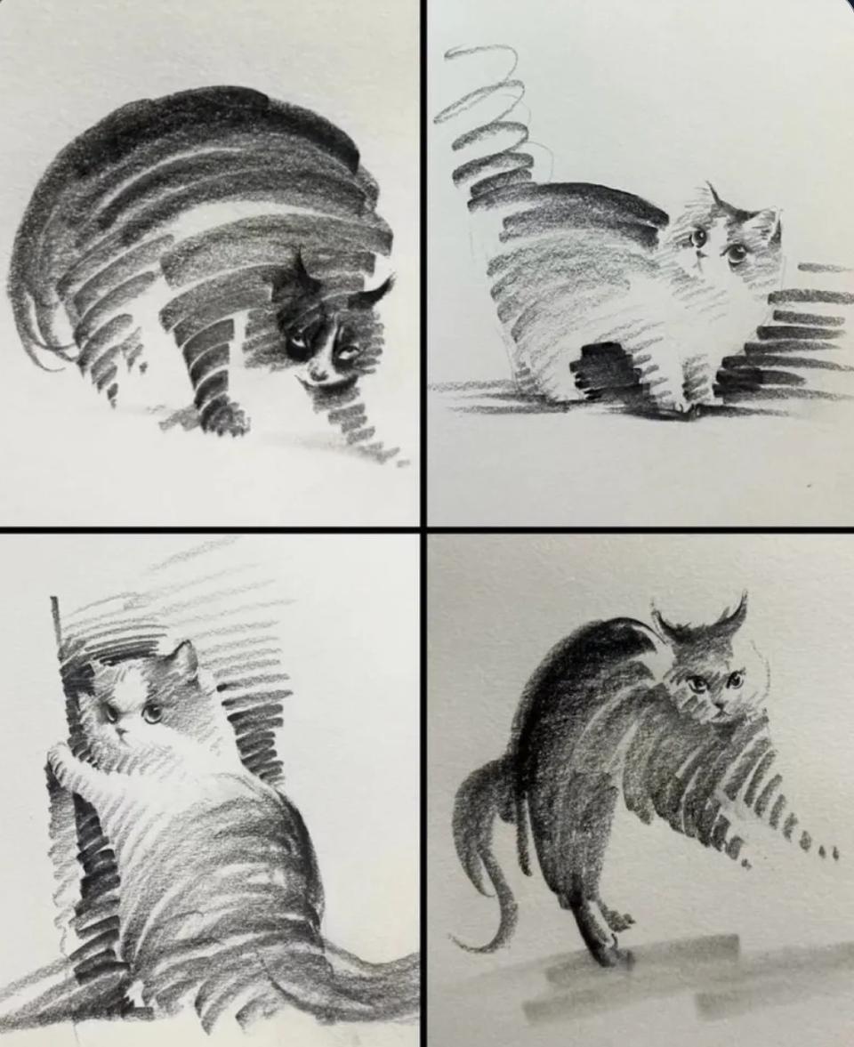 Four sketches of cats in different poses, drawn in minimal strokes in pencil.