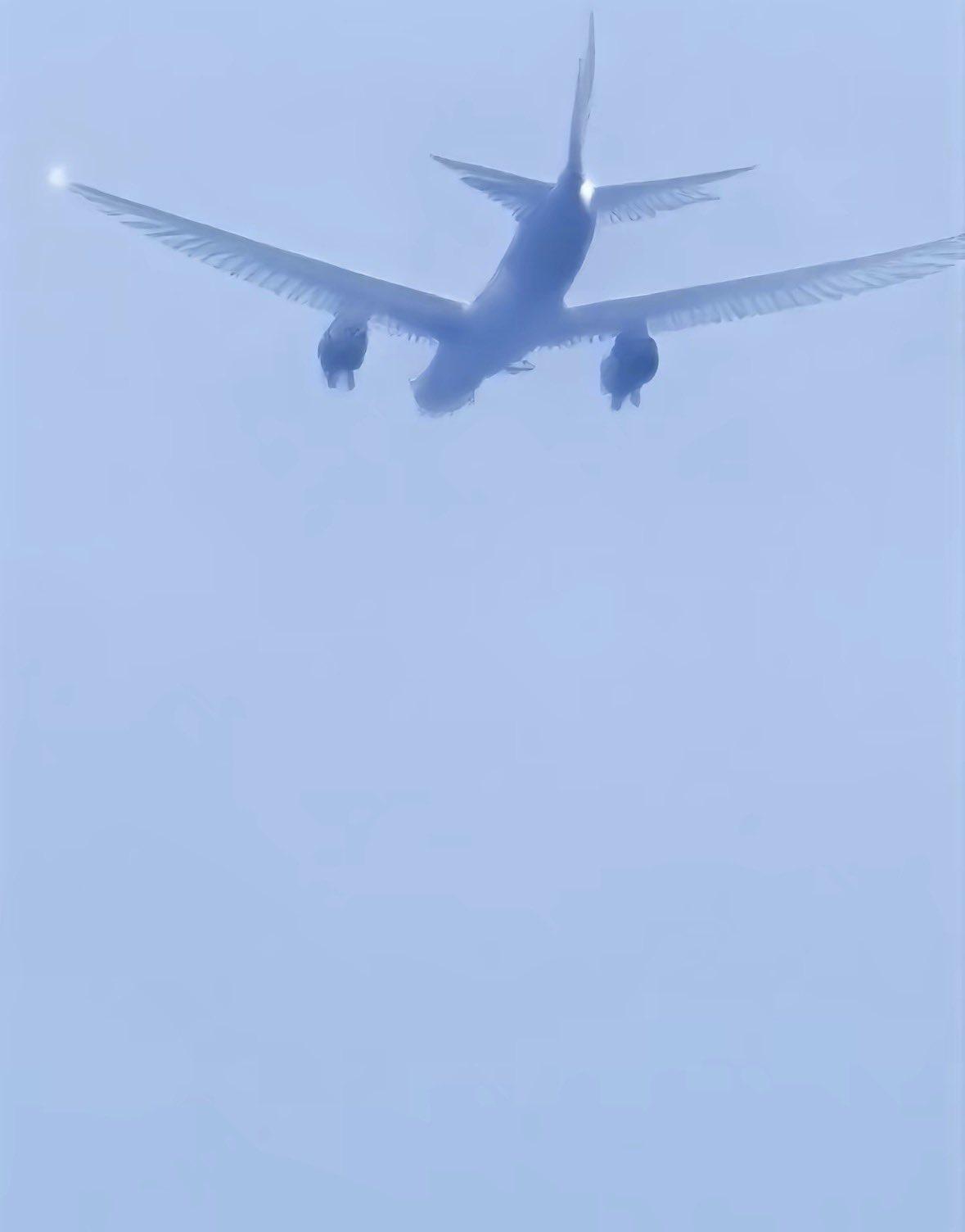 A photograph of a passenger plane in a plain blue sky, but all of its flight surfaces have the appearance of feathers.