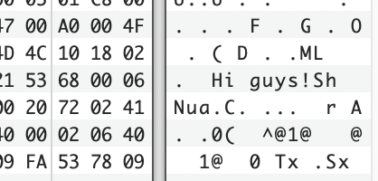 A small screenshot of a hex editor. To the left is the actual hex (good ol' 68000 binary) and to the left is the ASCII representation.  In the ascii you can read the message "Hi guys!"