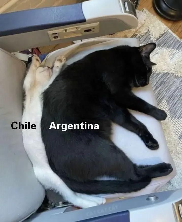 two cats laying on an seat, the white one is labeled Chile and is being squished all skinny into the back of the seat by the black one. the black one is spread out to normal size and is labeled Argentina.