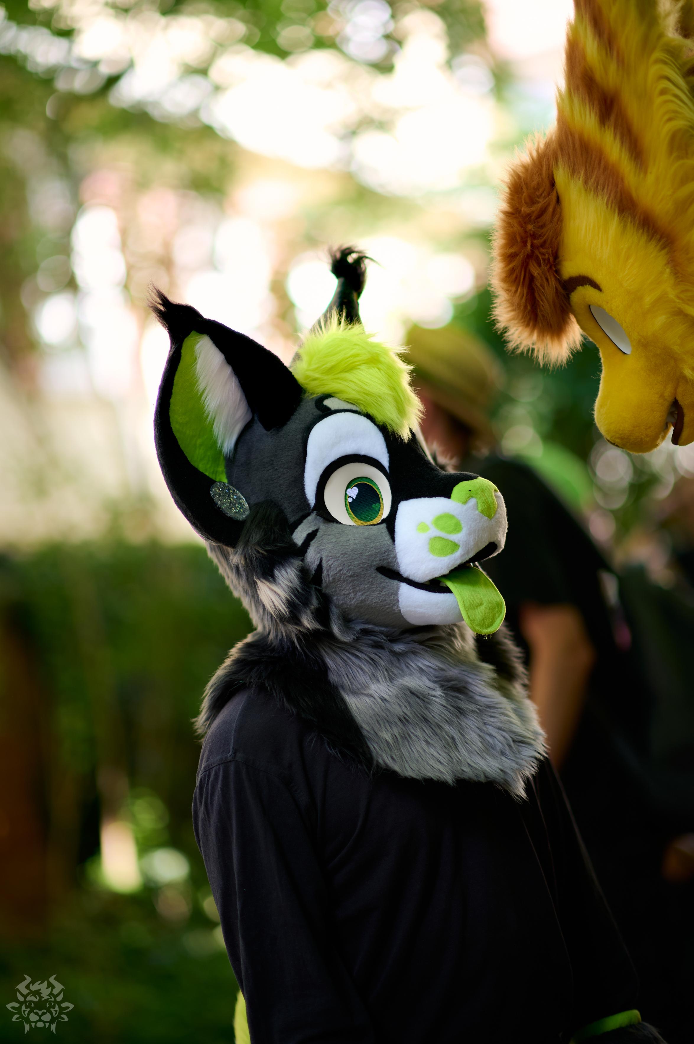 Sirius Celcius / Lumen in their lynx fursuit at the Tübingen fursuit walk, talking to Shizah in the top-right corner.