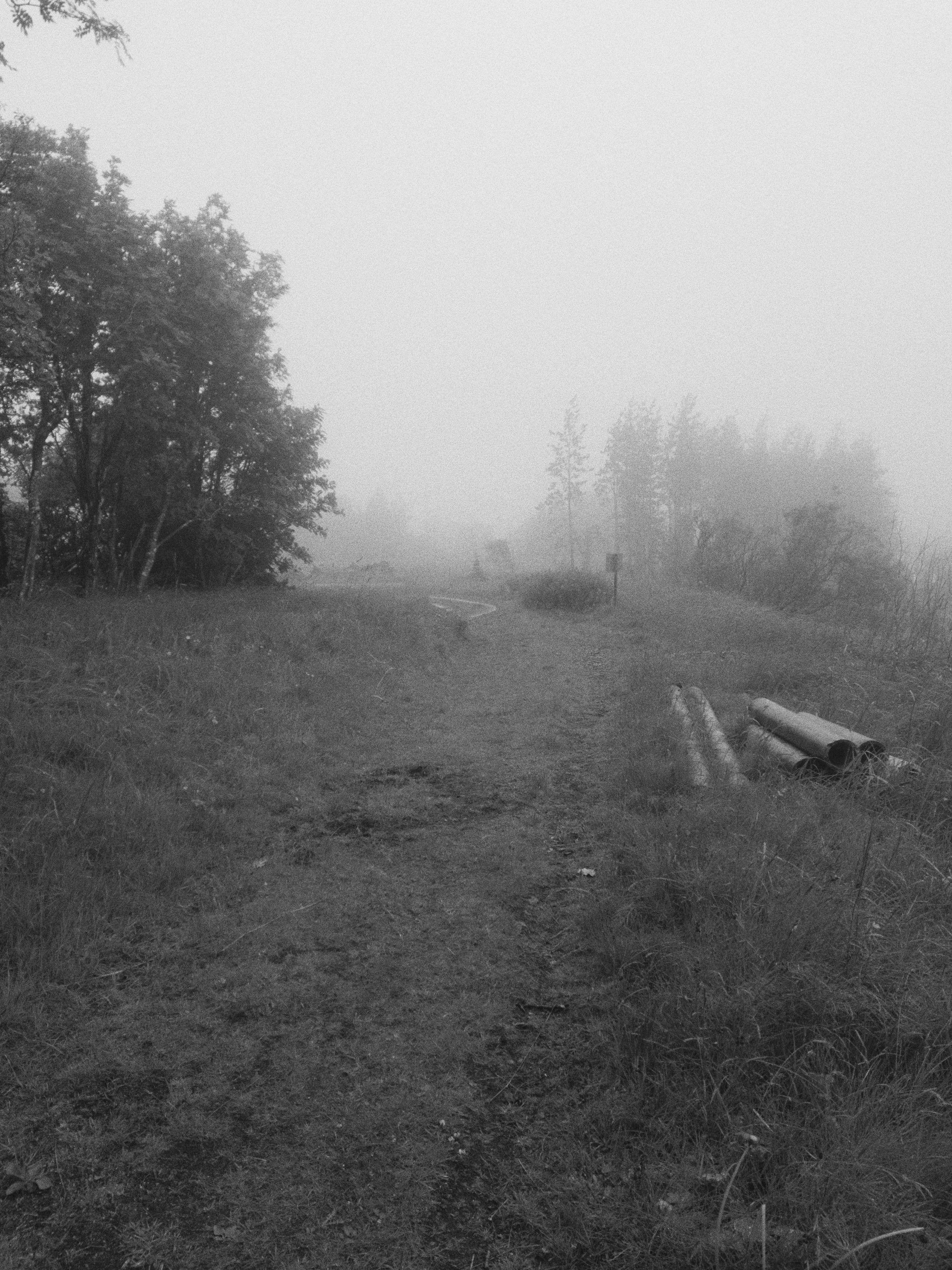 A path into the fog. This is by the small cottage called "Fífilbrekka" that noted pastoral fascist Jónas frá Hriflu built in the post-WW2 period. It's being renovated, hence the pipes by the path.