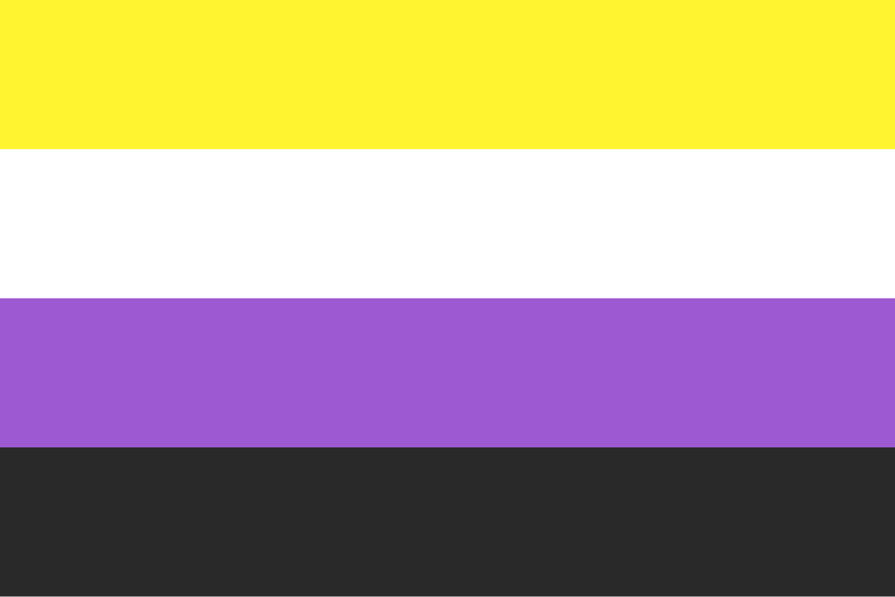 An image of the non-binary pride flag.