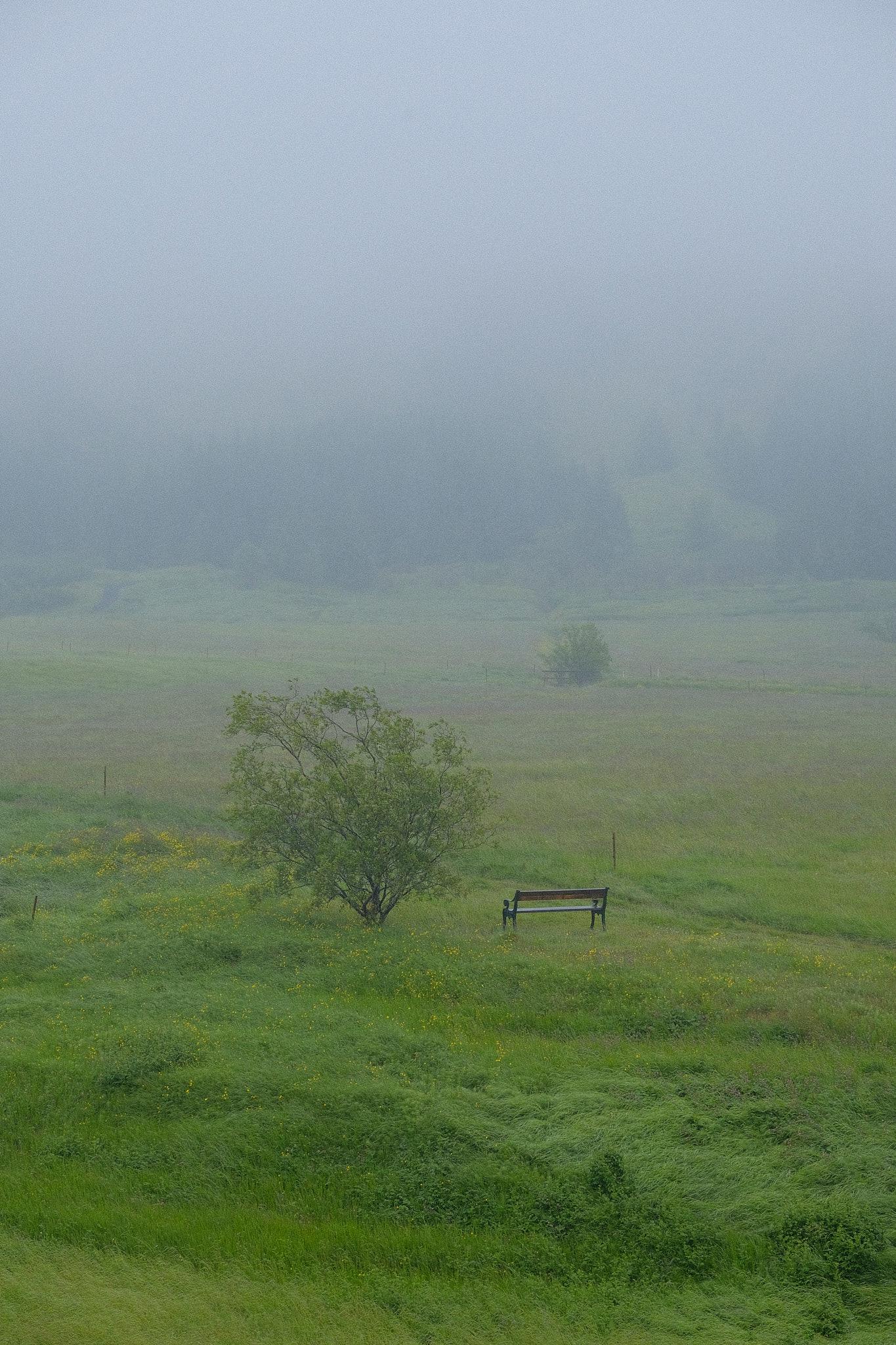 First off, we have a JPG as delivered by the Fujifilm camera. It's of fog over a field with a couple of lone trees and a bench. In the background we see the roots of a mountain. It's kind of a flat image