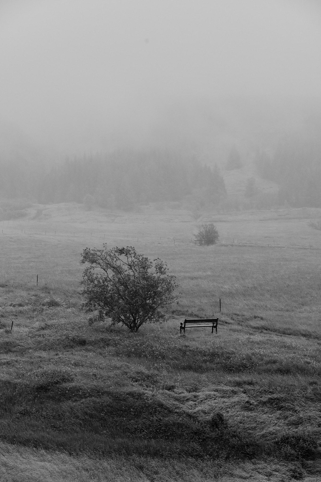 Again, the same photo, again using a tone curve from Fujifilm except this time it's their ACROS black and white film emulation, some exposure adjustment. The image looks very moody, though it is probably darker than it should be