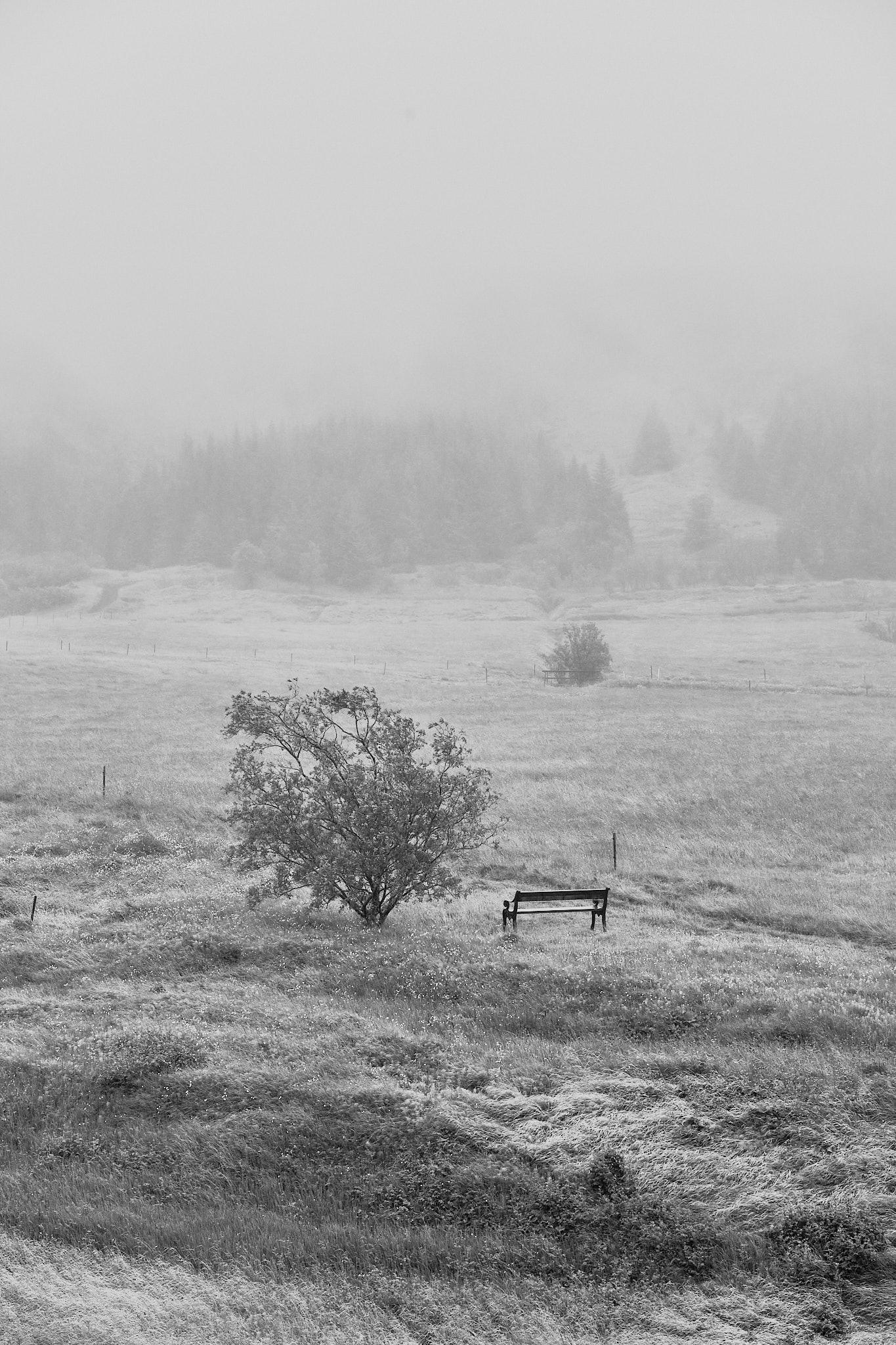 The same photo of a bench in a field in fog, again using ACROS black and white film emulation from Fujifilm but with more exposure adjustment and a bit of a contrast adjustment using the curves tool.