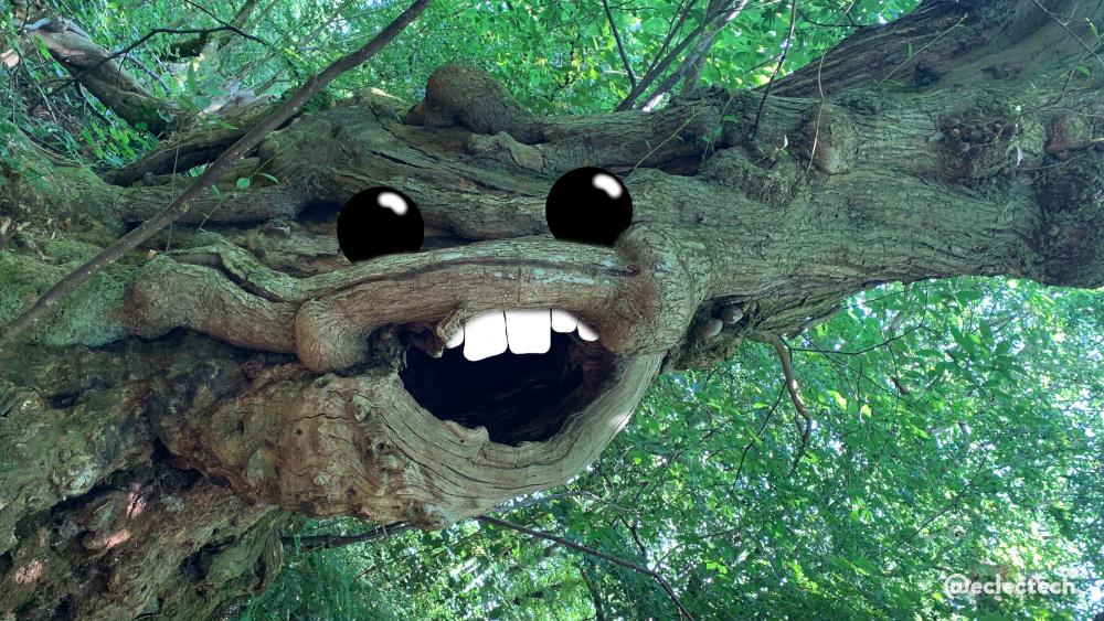A photo of a large gnarly tree trunk with a huge cavity (same tree in the original post). This time the photo has been rotated so the cavity forms a smiley open mouthed shape. I have added top teeth in, and eyes above. It looks very happy with its lot.