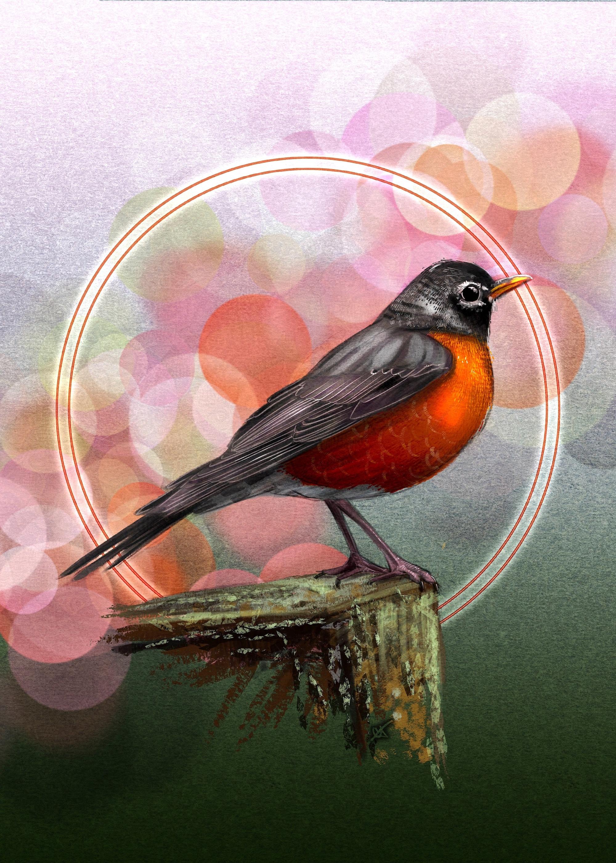 Art piece of an American Robin, perched on a mossy outcropping, facing right. Behind the bird is a paper texture with a pink gradient at the top and a dark sage green gradient at the bottom. Behind the bird is a bokeh lighting effect in coral and pink, with a double halo of light surrounding it.