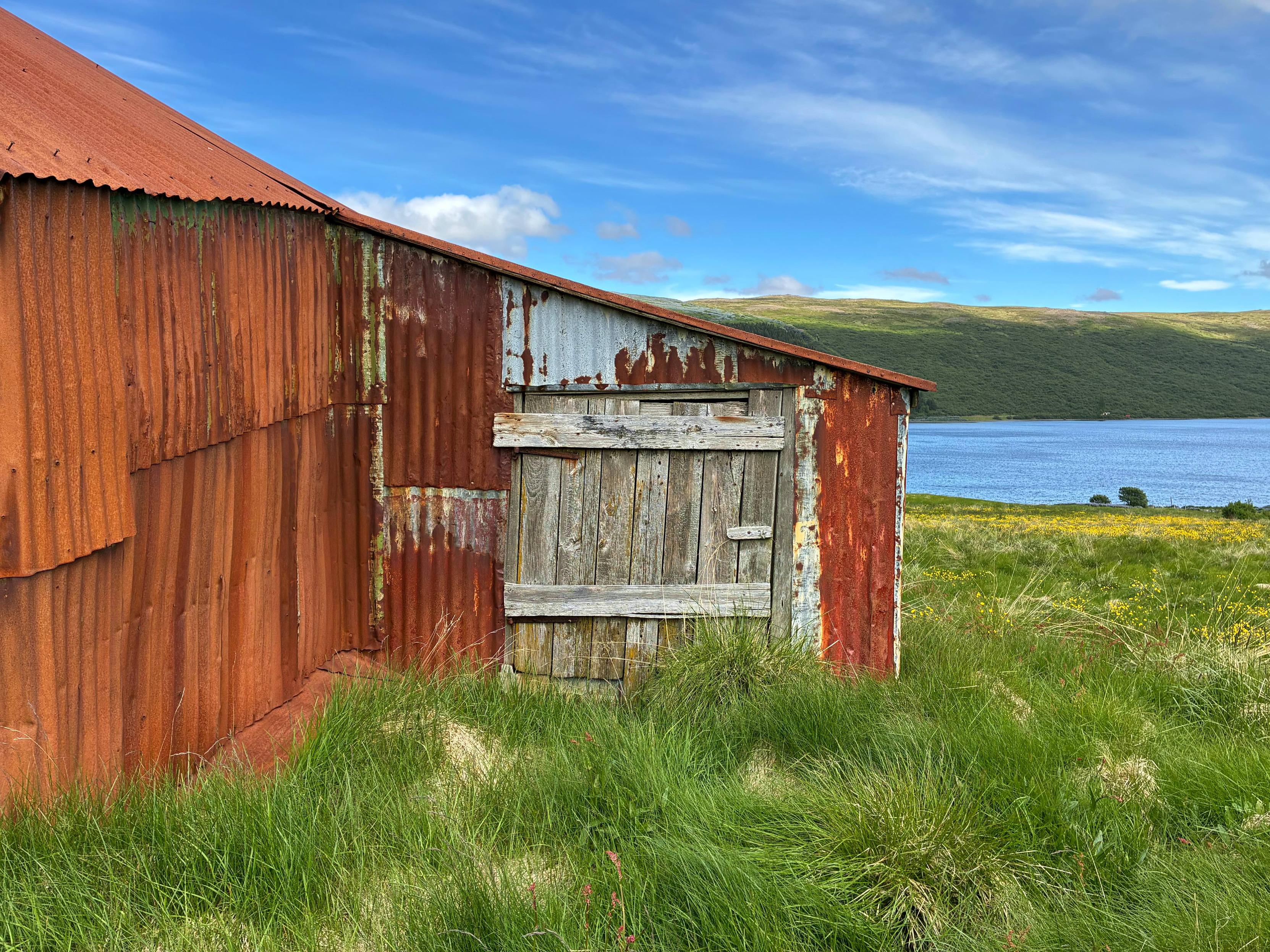 A very rusty barn.