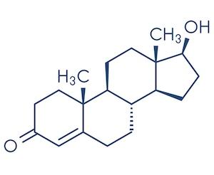 testosterone