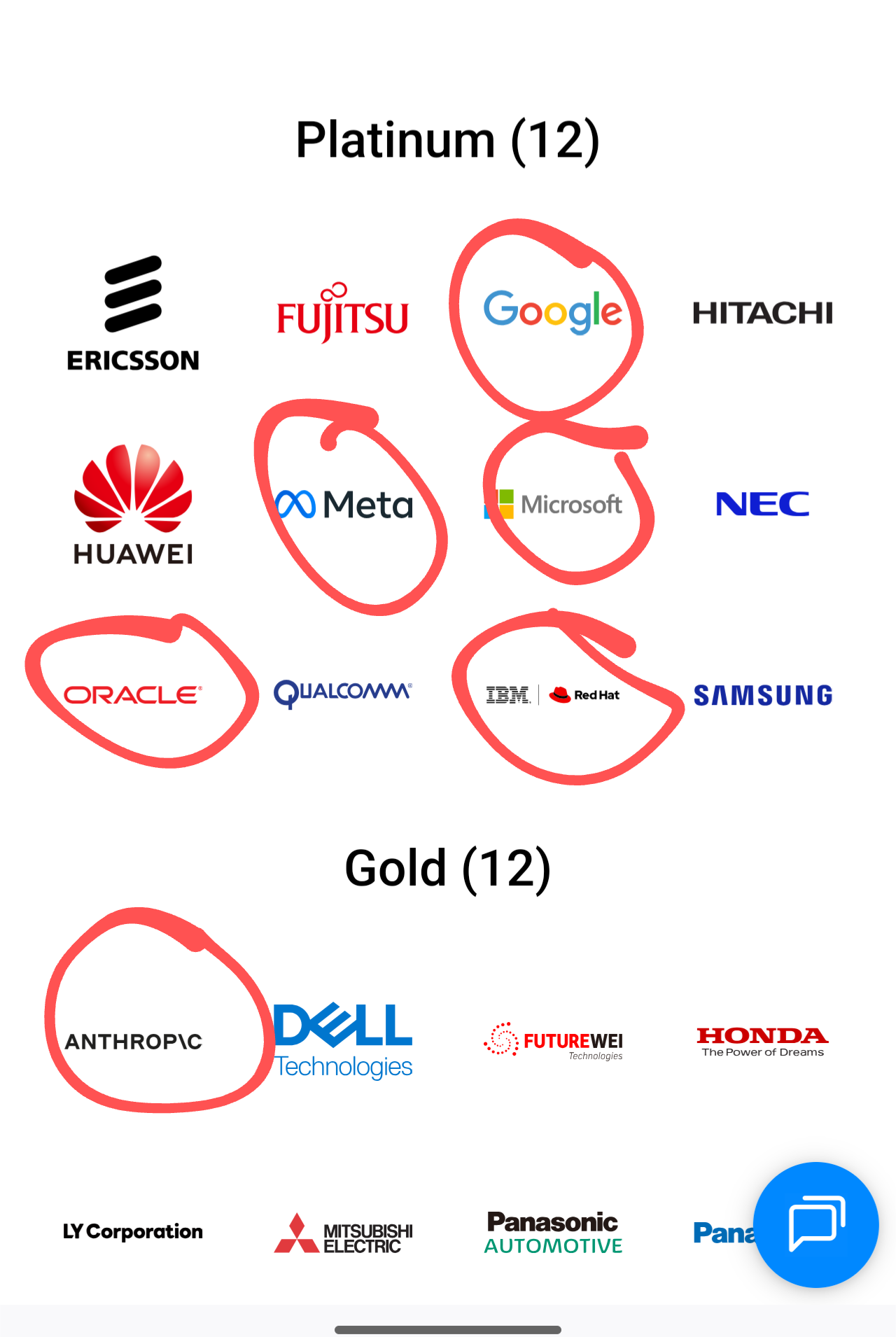 The 12 Platinum members and the top 8 Gold members of the Linux Foundation. The following names are encircled by me: Google, Meta, Microsoft, Oracle, IBM/Red Hat, Anthropic.