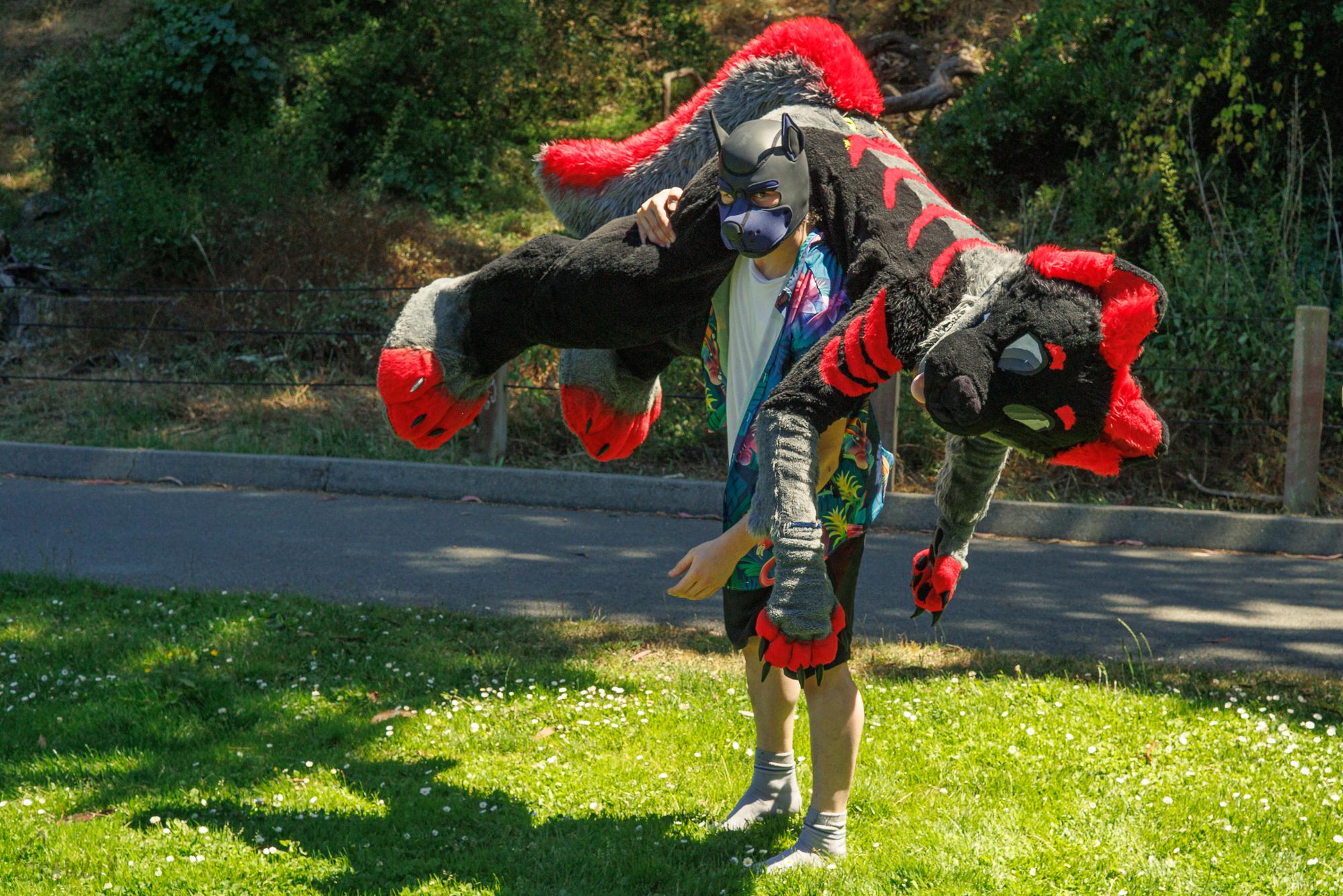 Me in-fursuit being carried by my friend. The friend is wearing a puphood, and has me slung around his shoulder.
