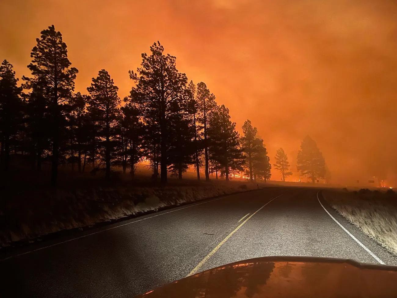 View from inside a vehicle on a road during a wildfire; trees are seen silhouetted in black against an orange sky. Visibility is limited due to smoke. It isn’t clear if the orange is from actual fire or just that the air has become so polluted from wildfire smoke that the sunlight appears orange.