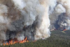 wildfire smoke